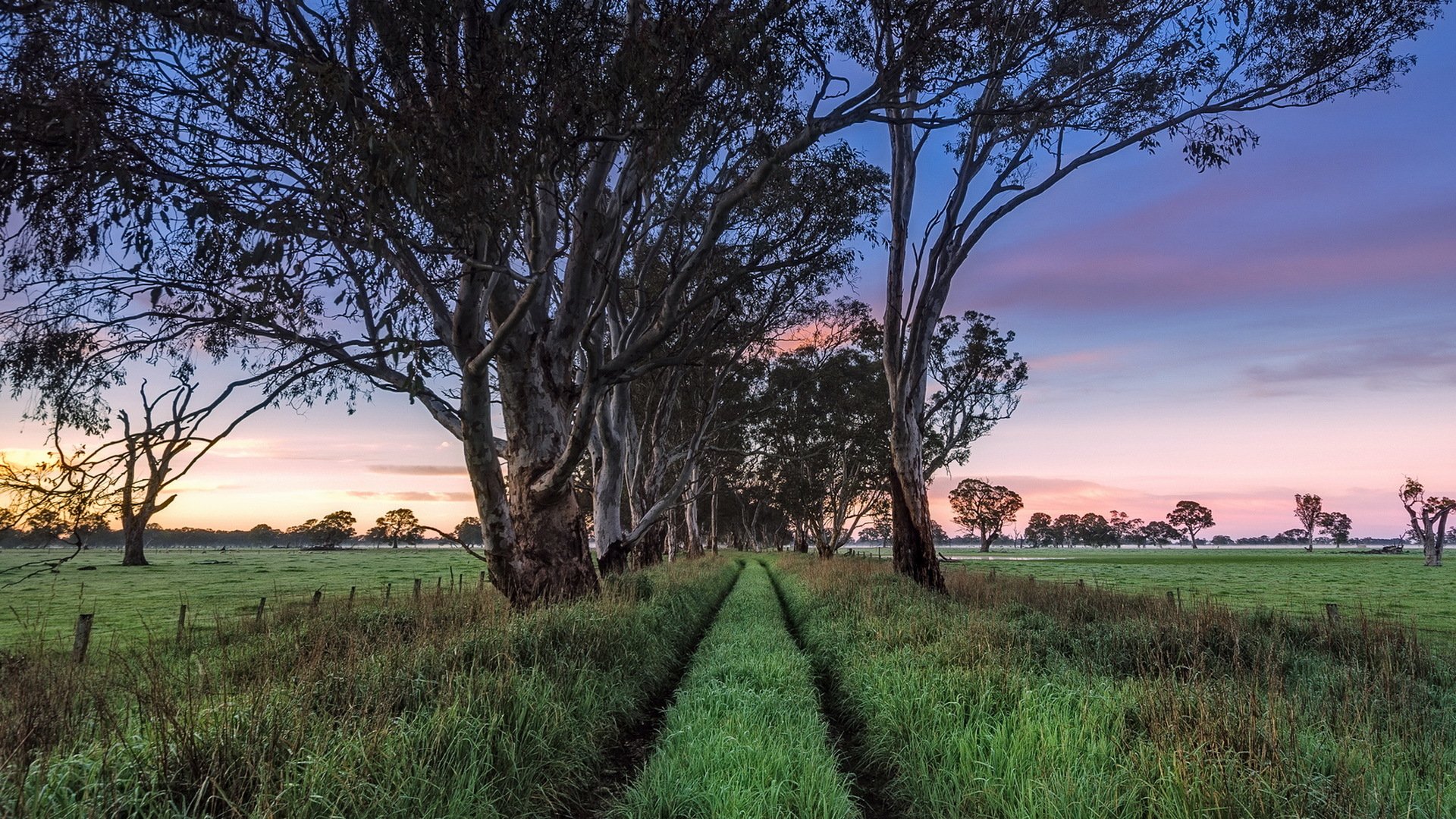 vía australia del sur penola luz de la mañana temprano