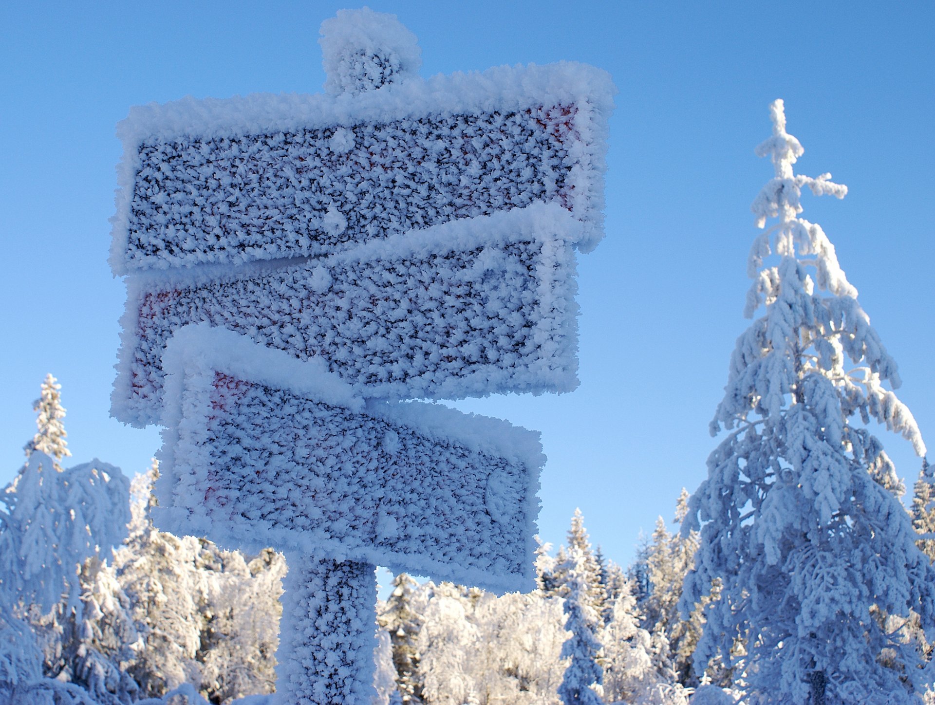 inverno segnaletica gelo alberi neve