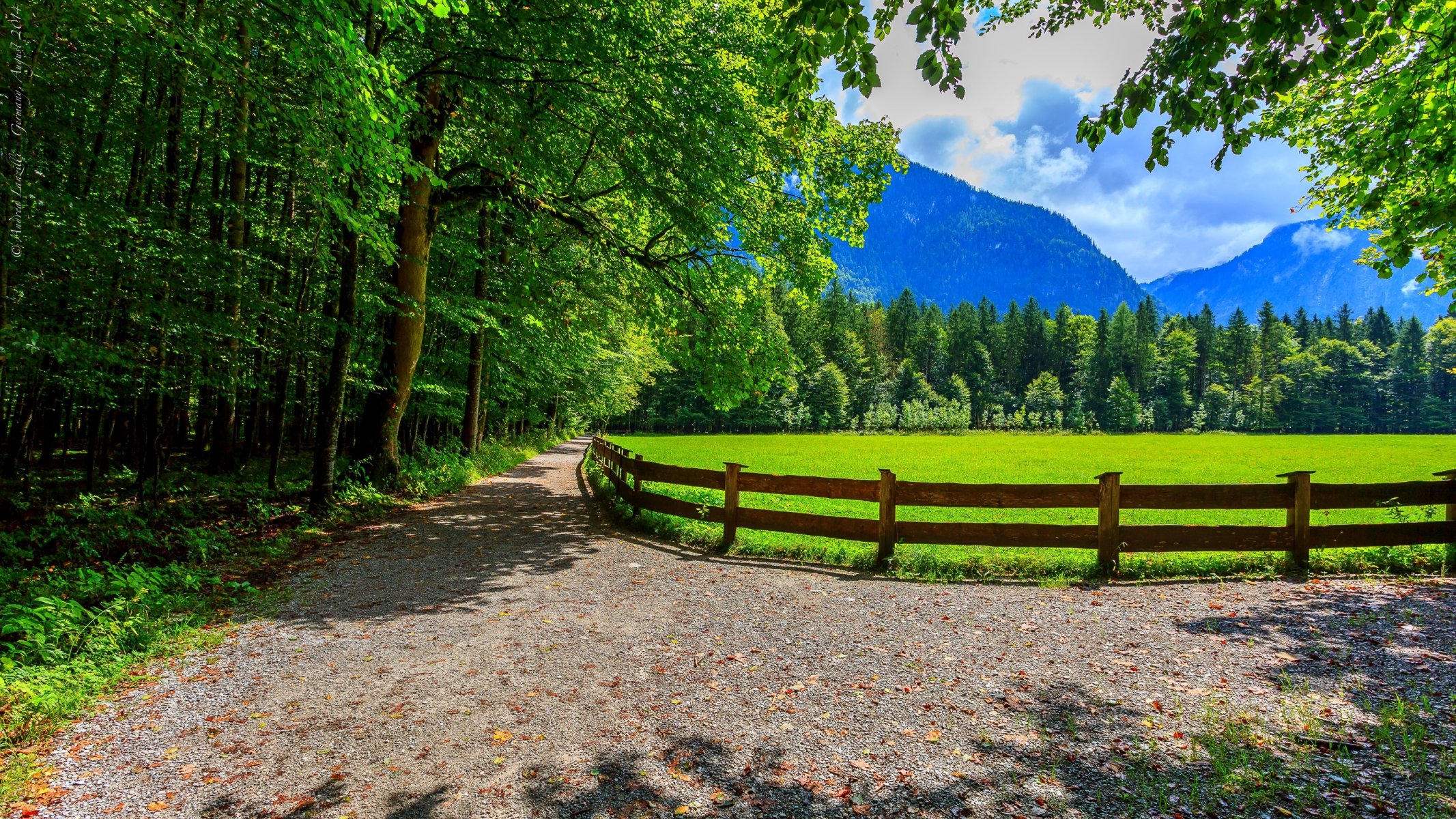 natura krajobraz niebo chmury wiosna las park drzewa droga spacer wiosna