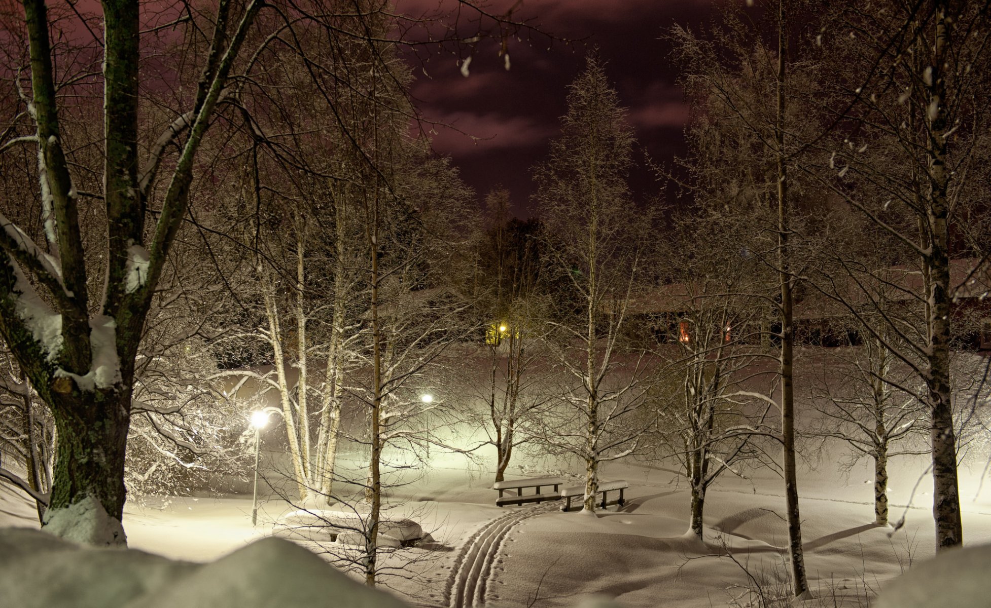 parco inverno sci alberi neve notte luci luce