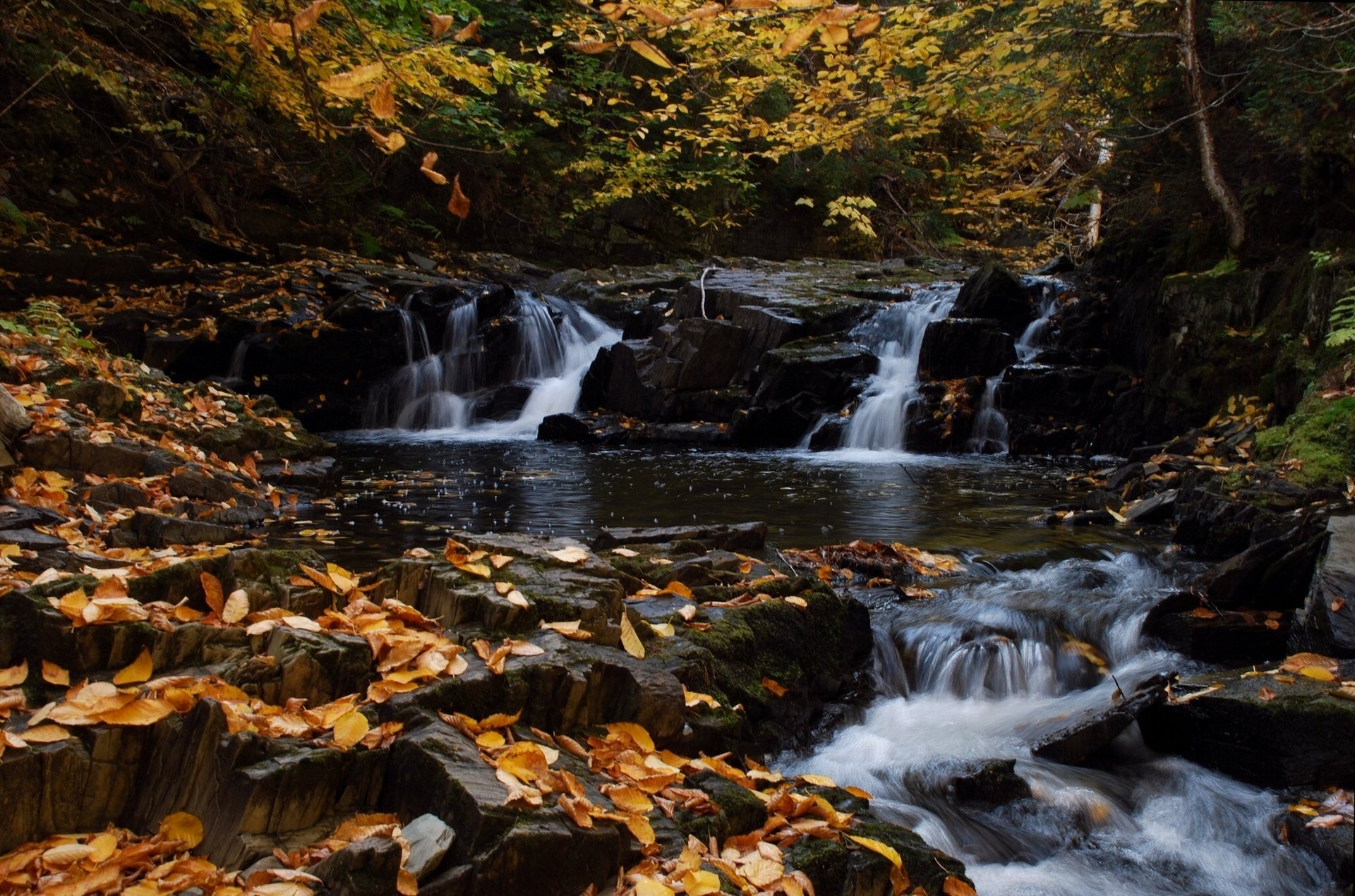 río nigadoo canadá cascada río bosque otoño hojas