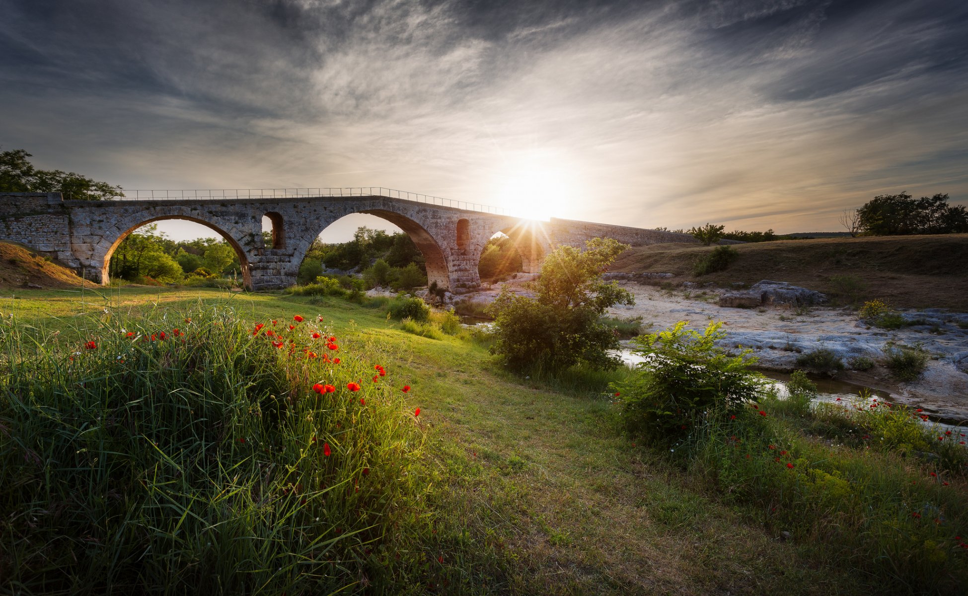 blumenbeet blumen mohnblumen fluss strom brücke sonne strahlen