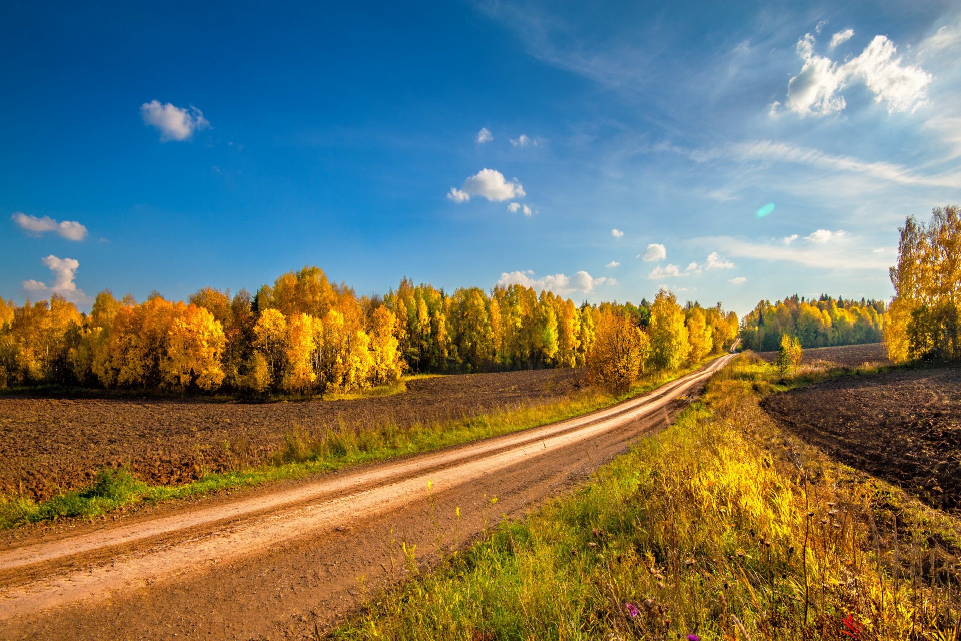 champ route automne nature paysage