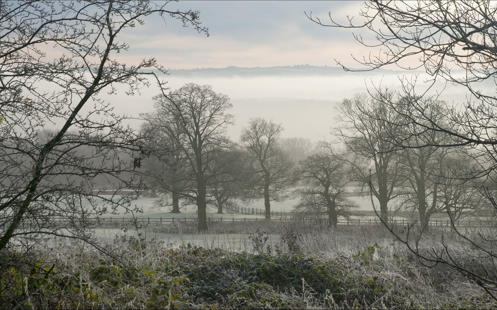 feld frost landschaft