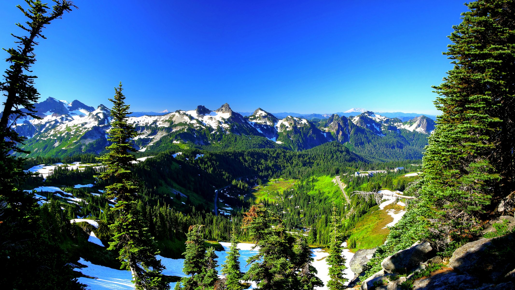 monte rainier estados unidos cielo primavera árboles montañas nieve abeto pendiente cumbre