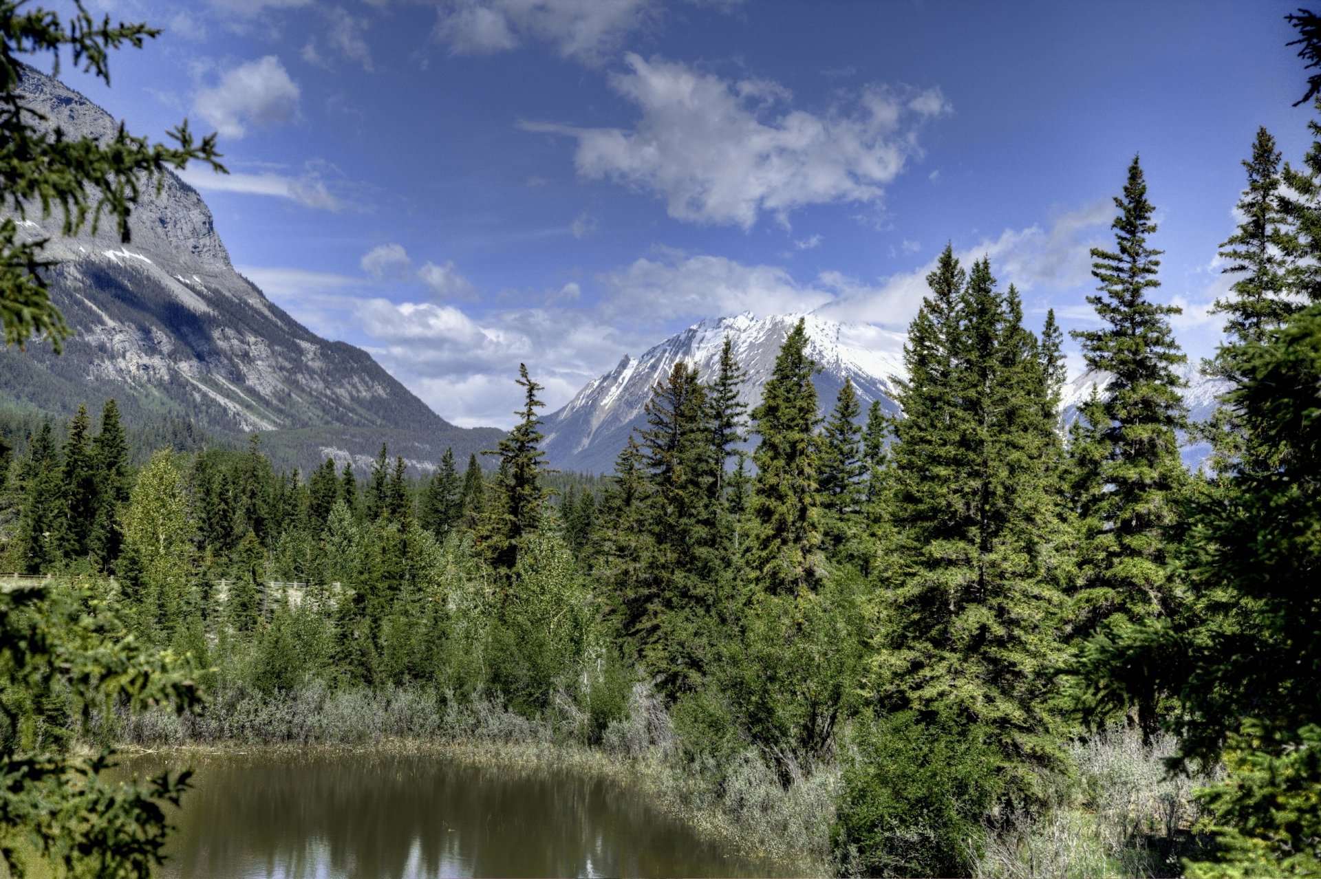 park narodowy jasper alberta kanada góry las świerki