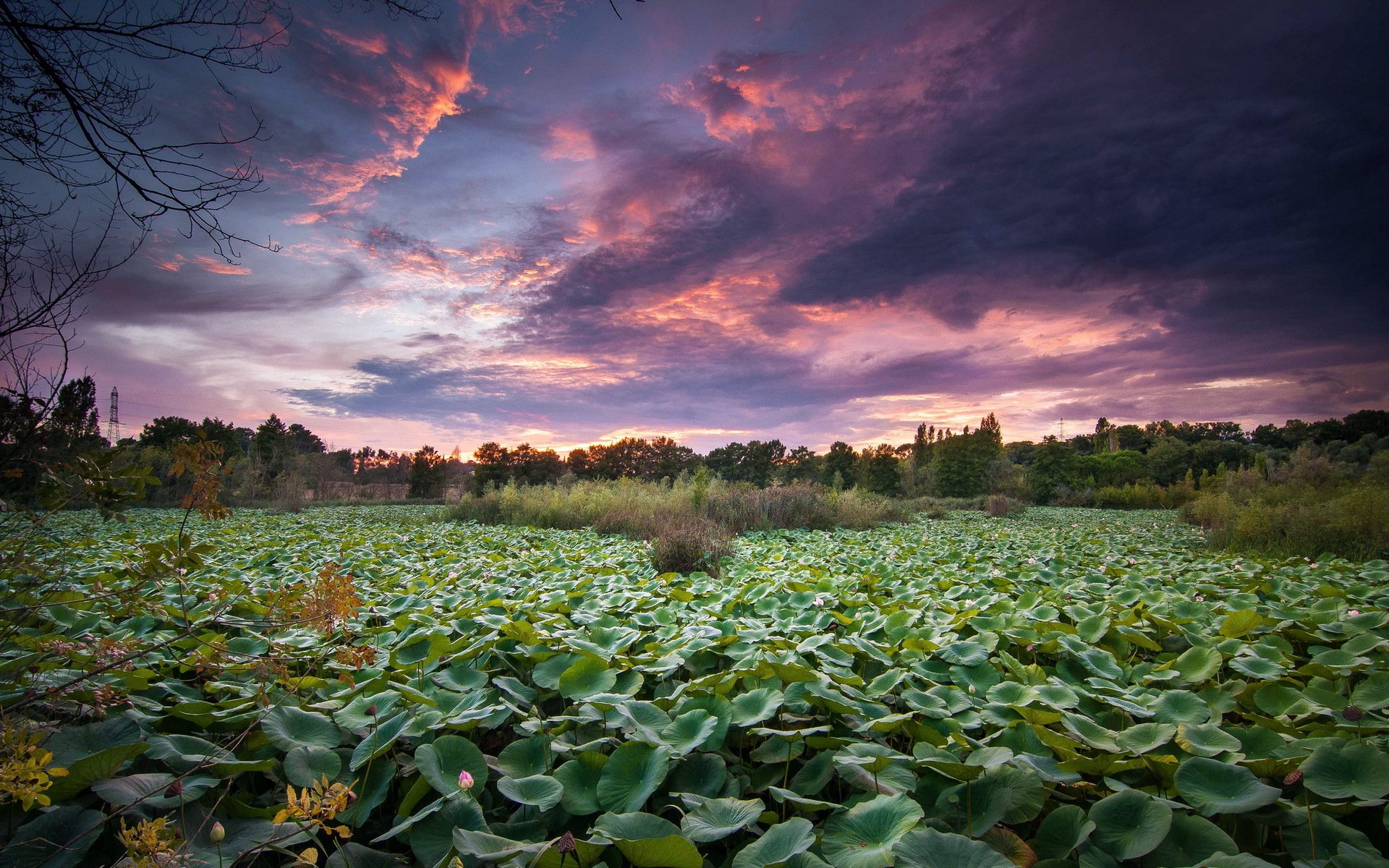 feld sonnenuntergang landschaft