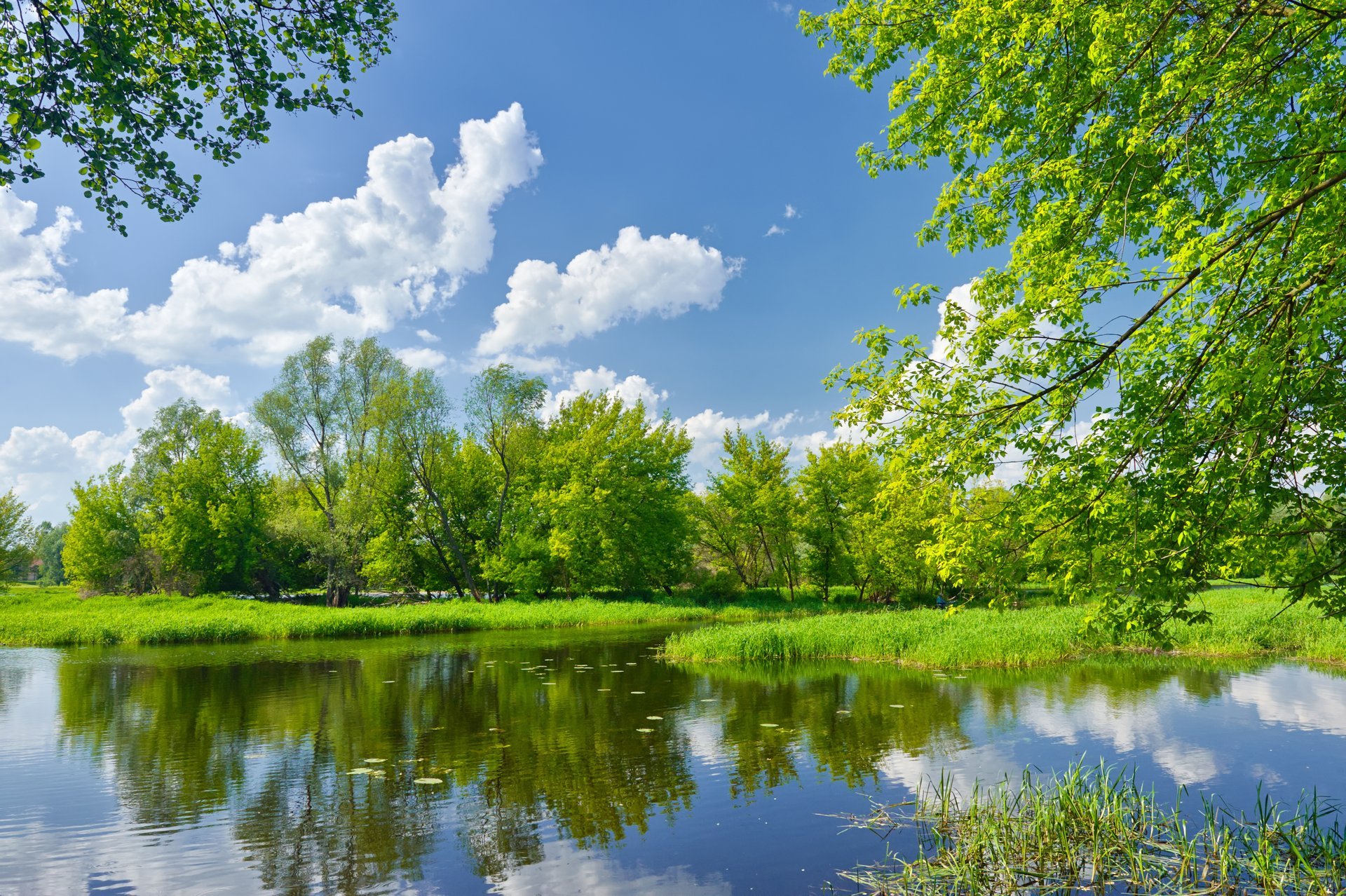 paisaje naturaleza árboles verde hierba cielo nubes