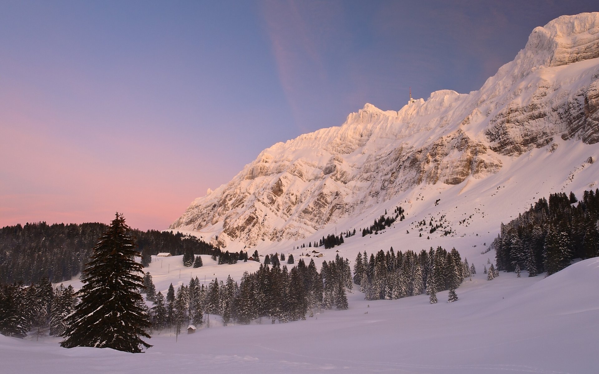 chwagalp pass schweiz alpen bergpass schnee winter fichte berge