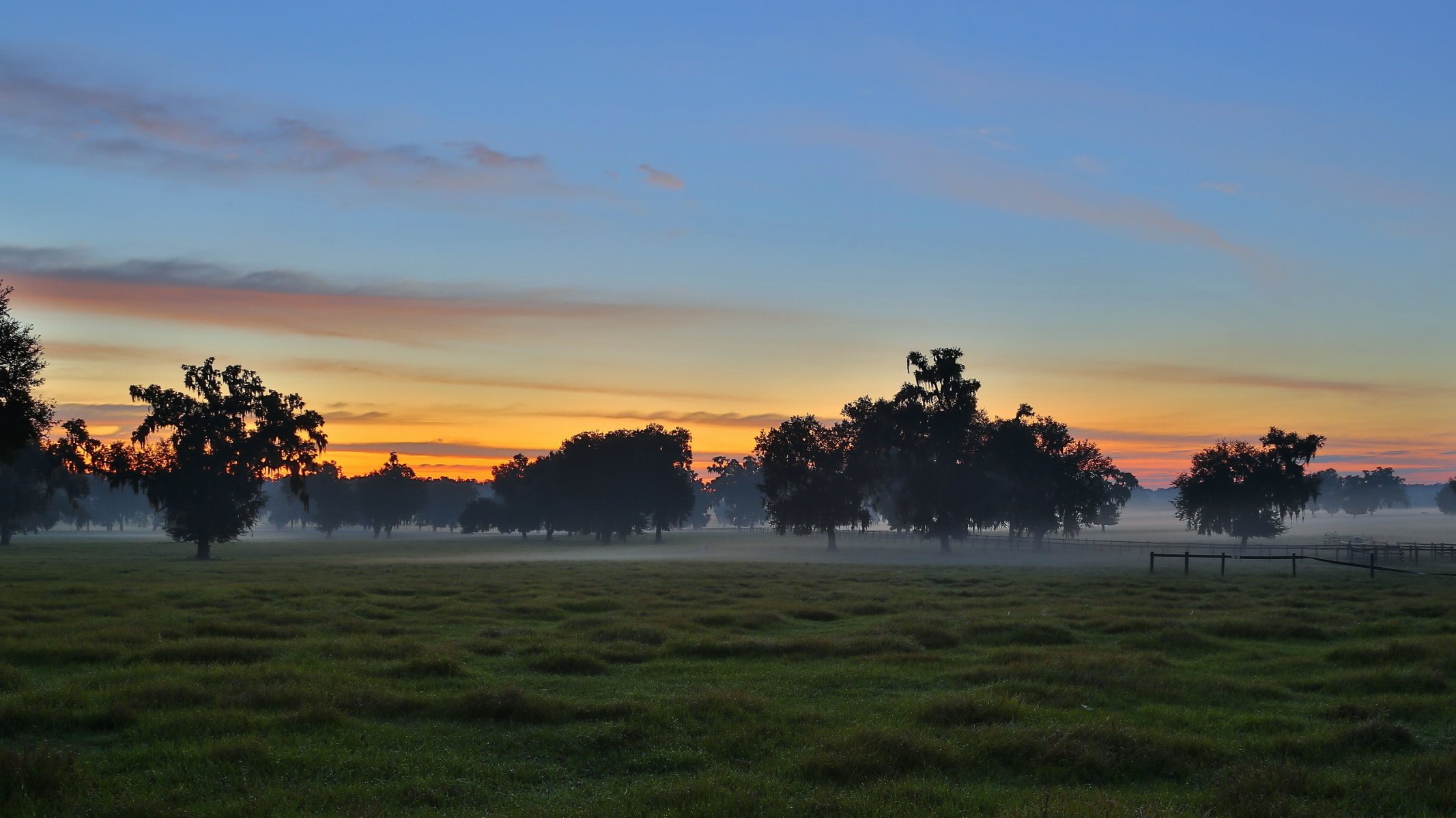 champ coucher de soleil paysage