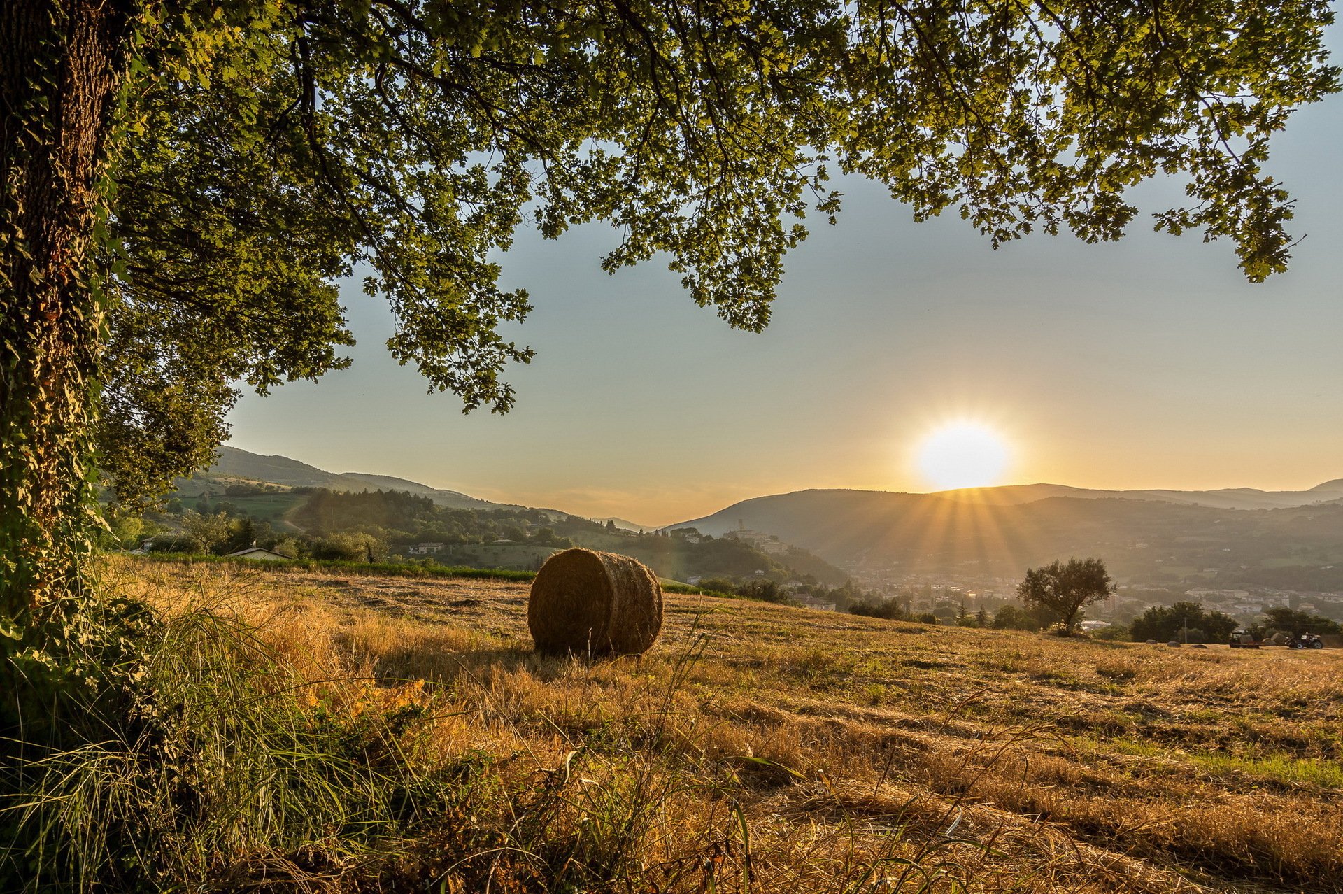 italia provincia de macerata comuna de san severino marche árbol campo colinas sol