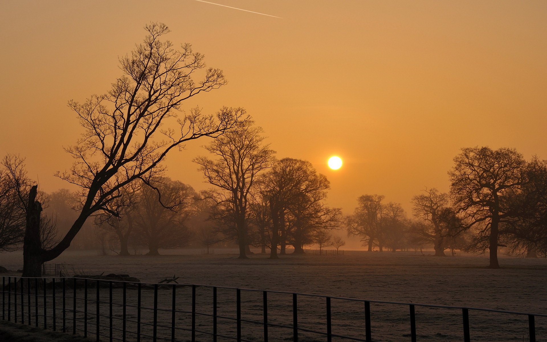 puesta de sol niebla campo árboles