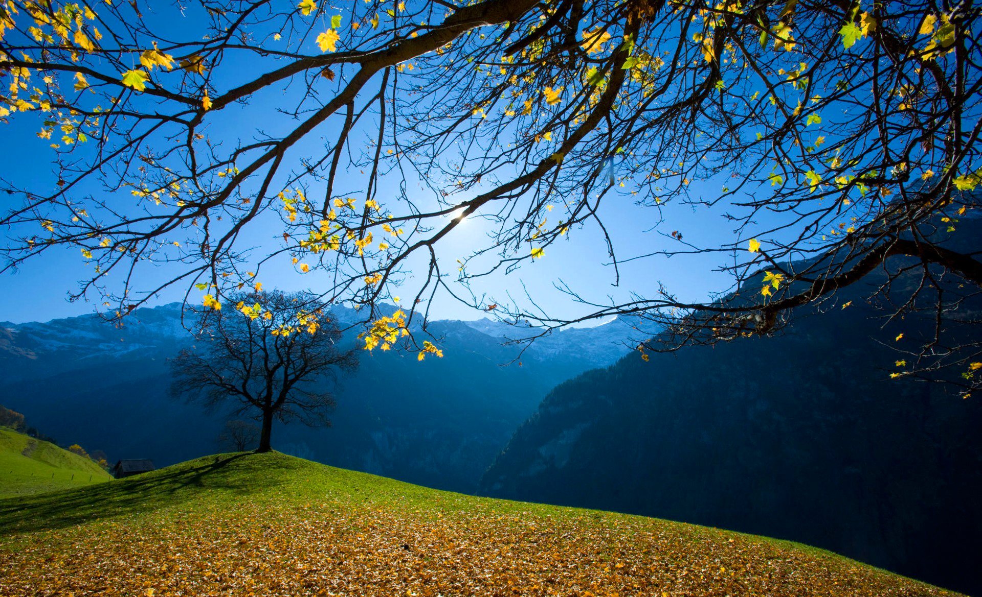 himmel berge gras bäume blätter herbst