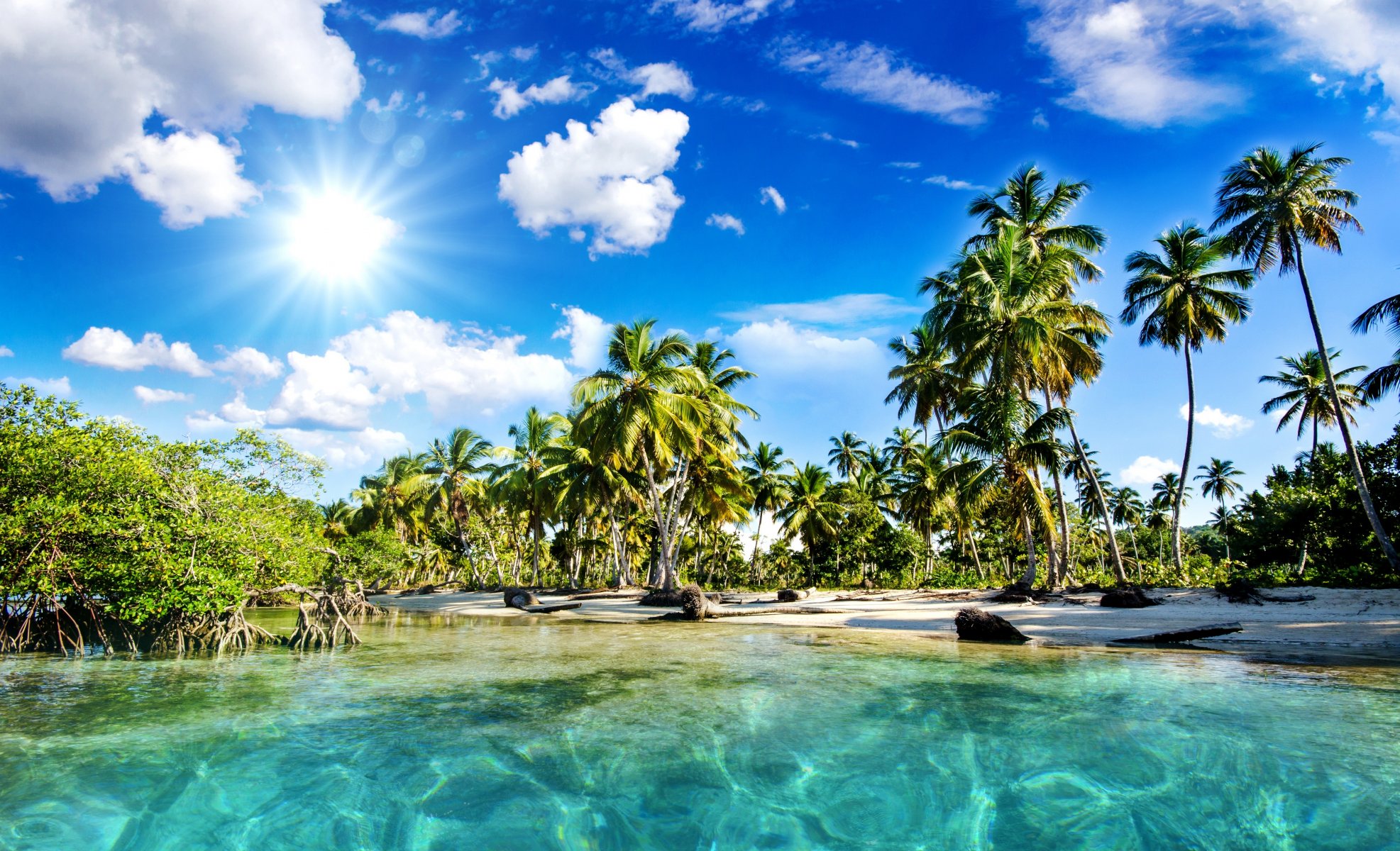 natura tropici mare spiaggia palme cielo nuvole sole raggi del sole