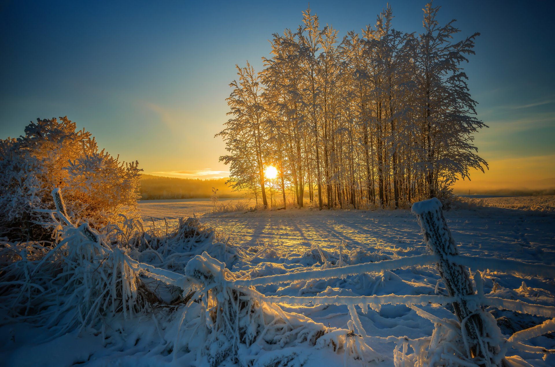 invierno nieve mañana valla inclinada árboles sol salida del sol