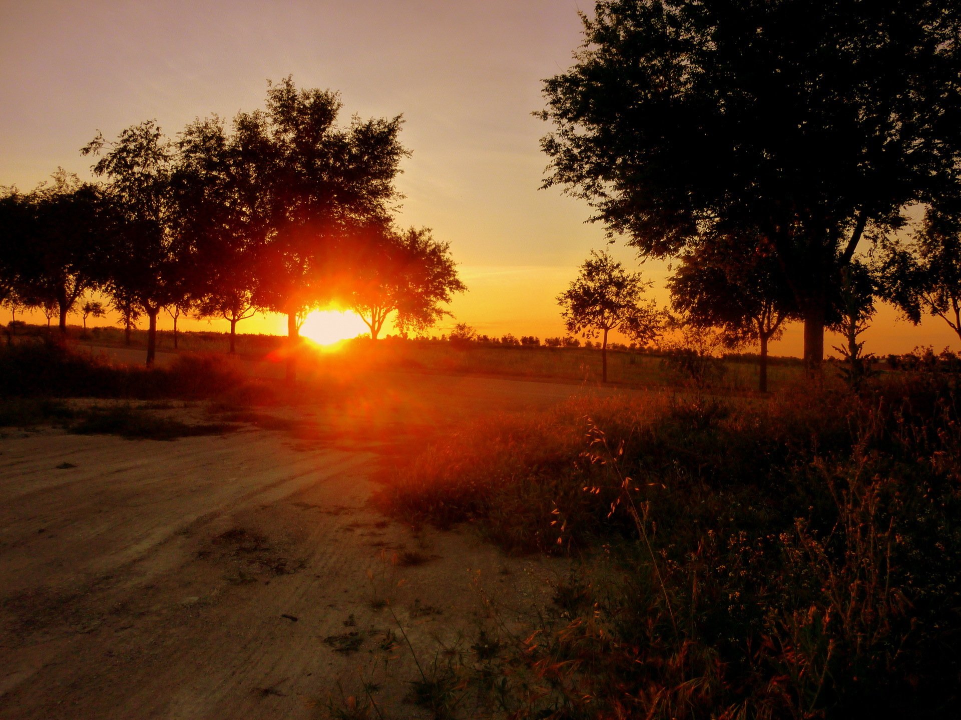 dawn sunset spain sun nature road tree photo