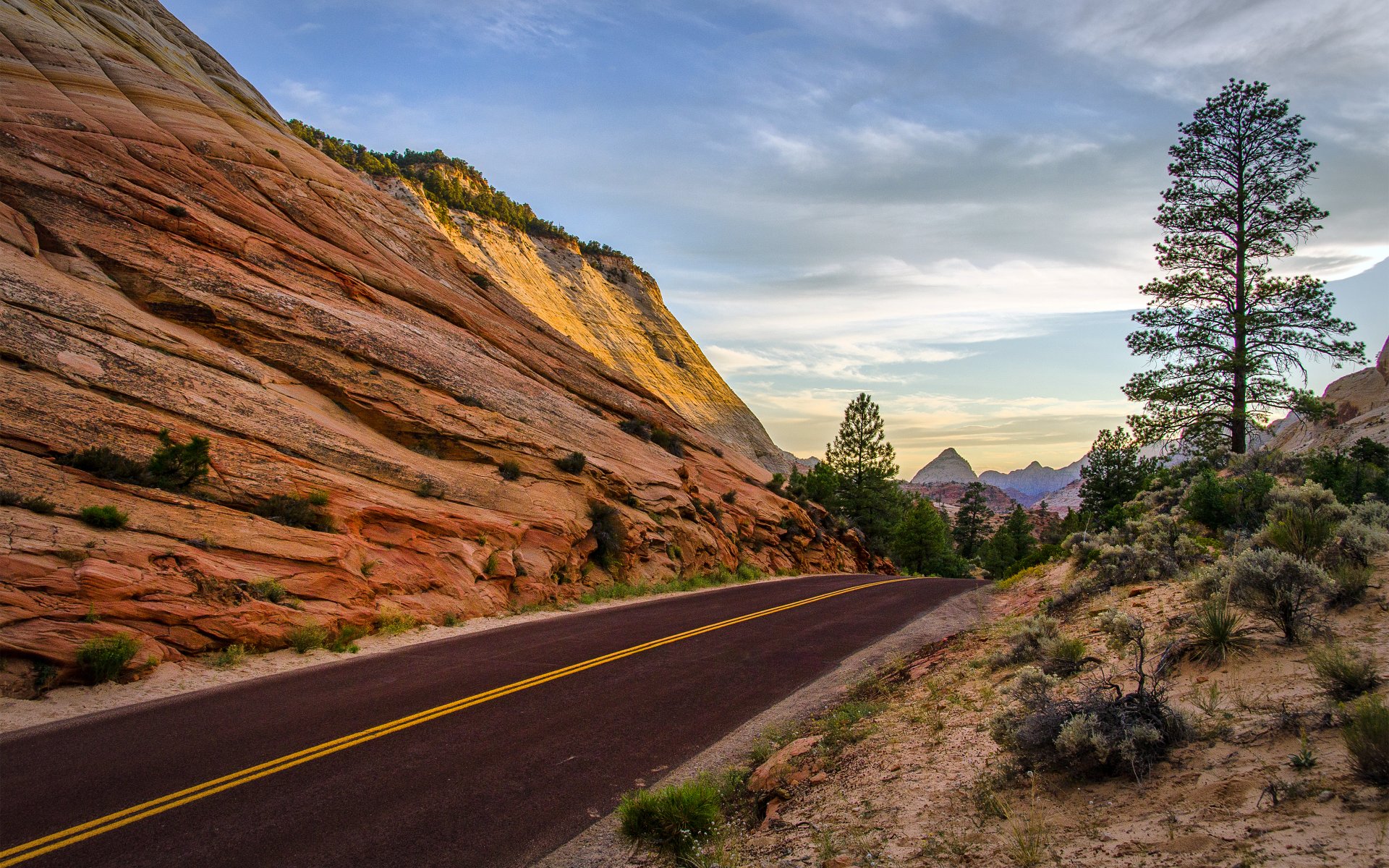 verlassen des zion national park utah . sommer felsen straße bäume berge