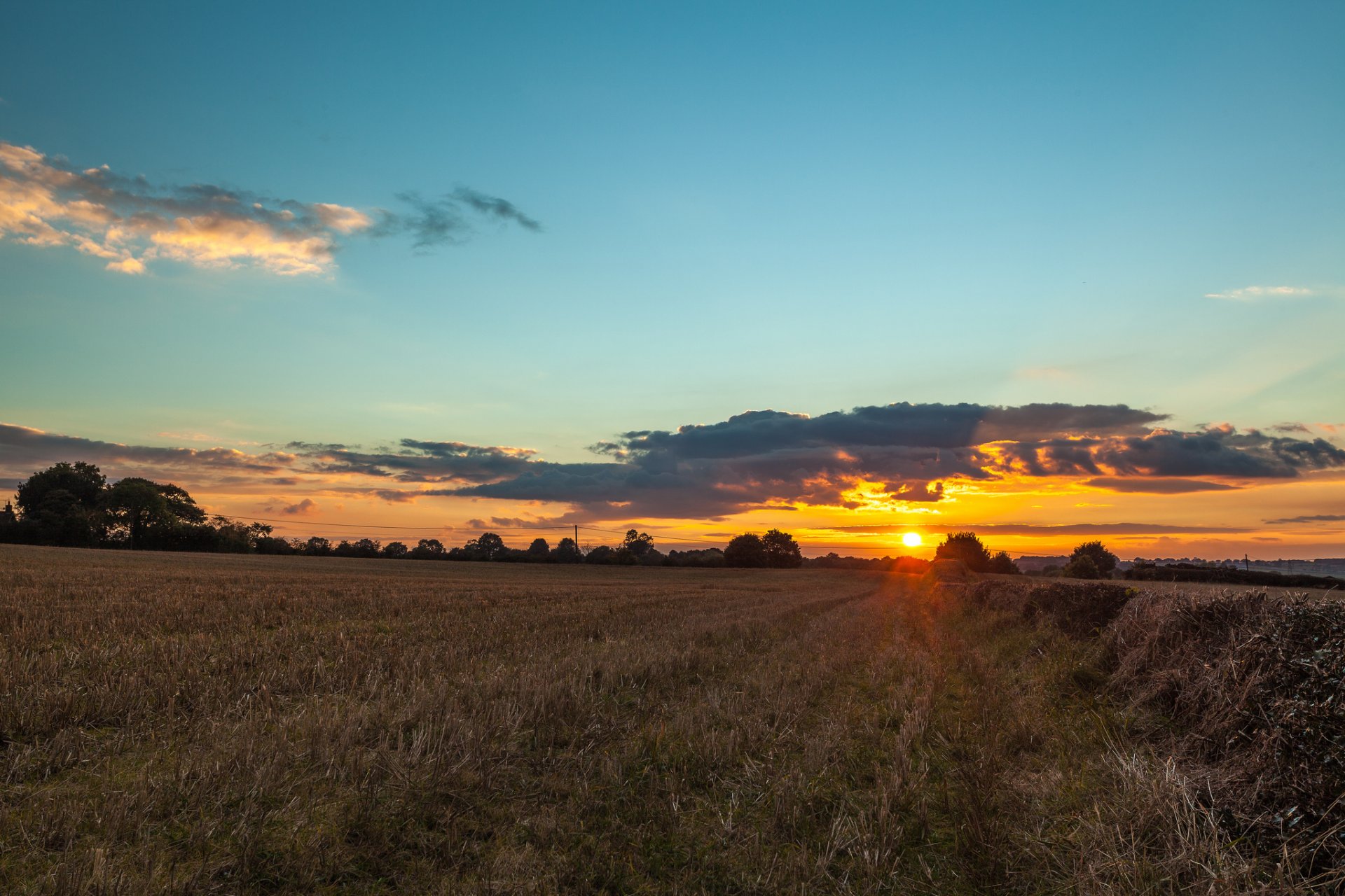 campo árboles. sol puesta de sol