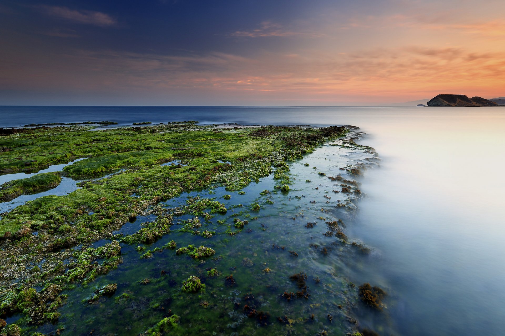 meer strand algen morgendämmerung