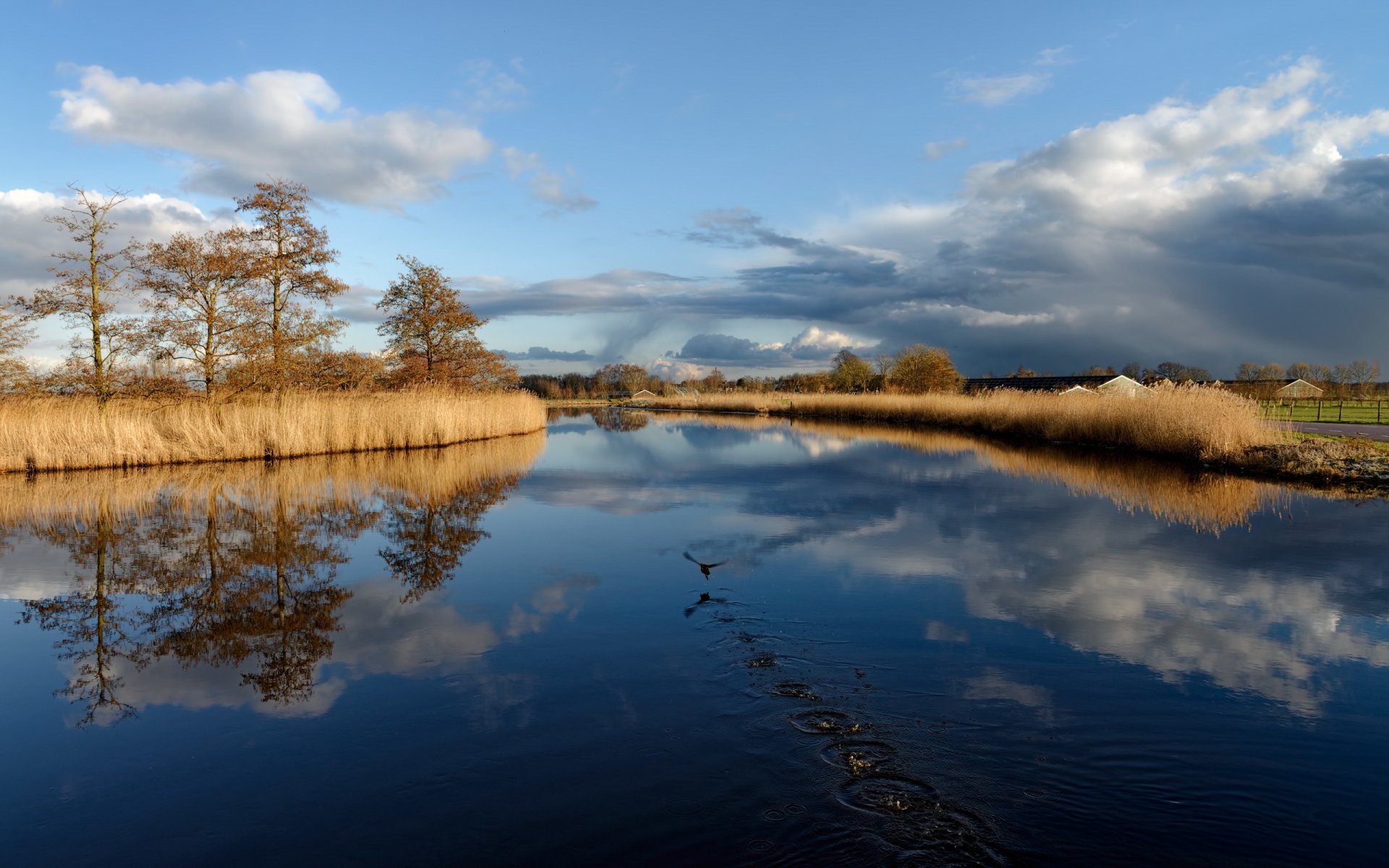 see vogel landschaft