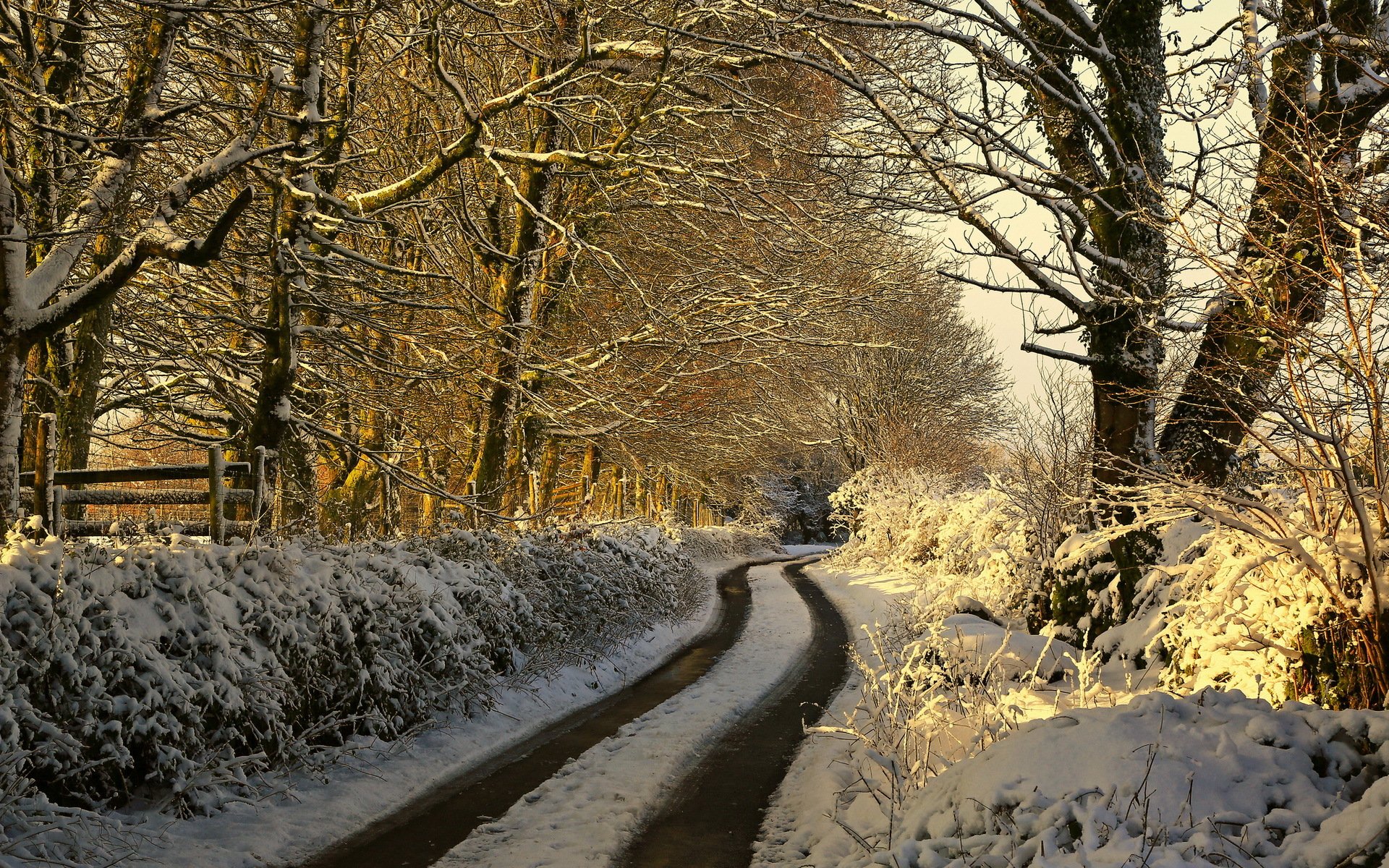 mañana camino invierno