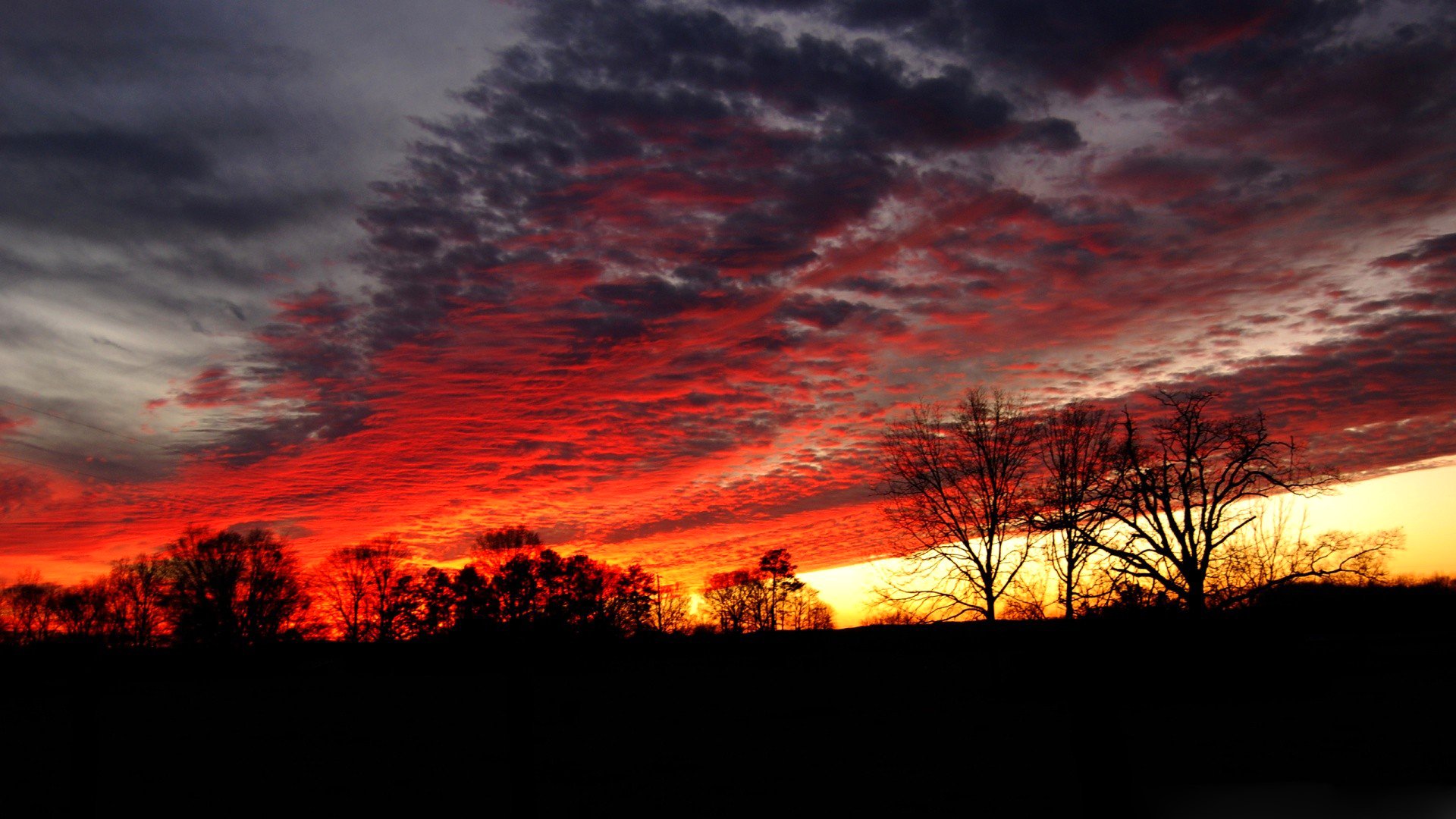 ky clouds sunset glow tree silhouette