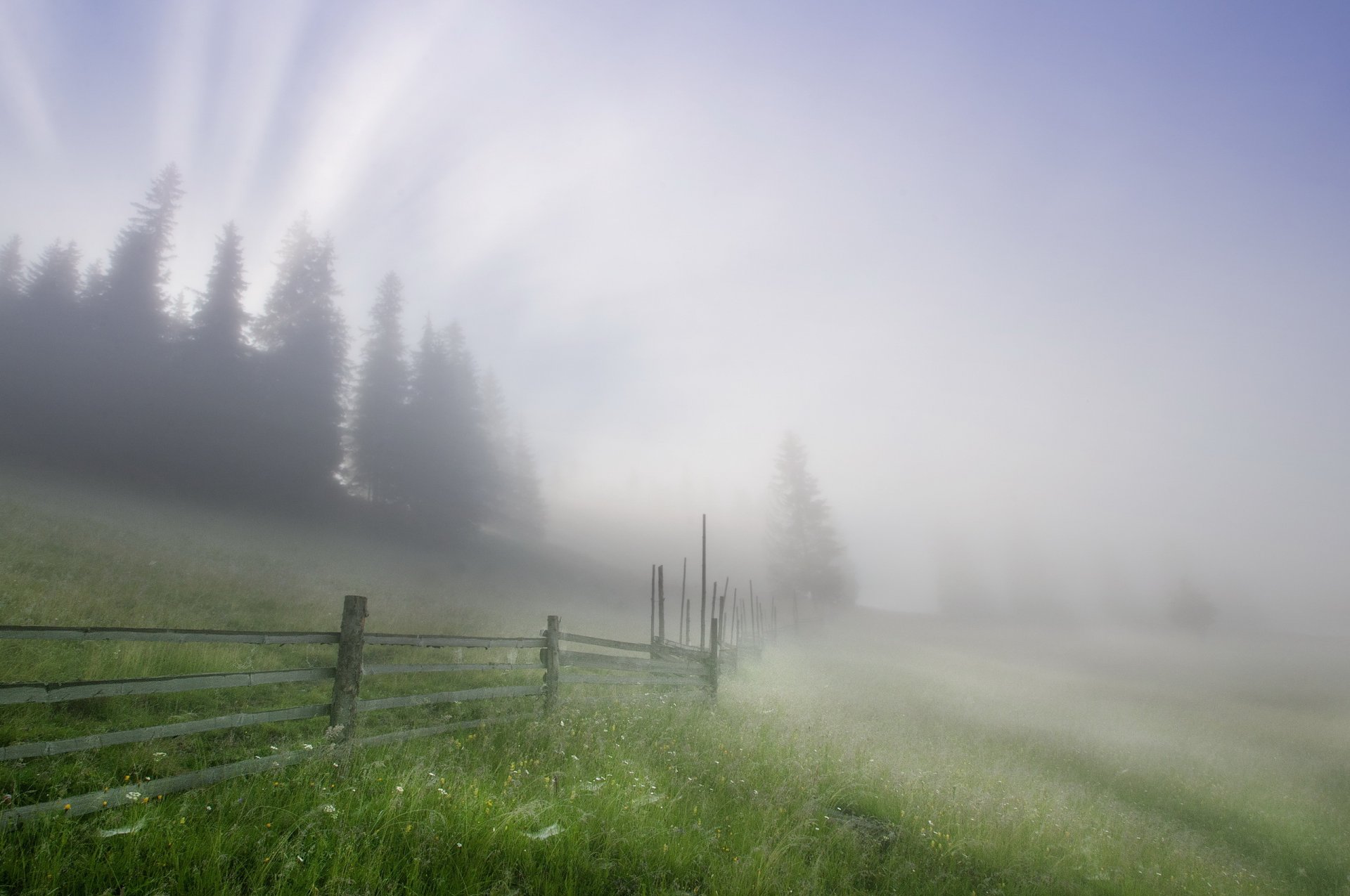 nebel zaun landschaft