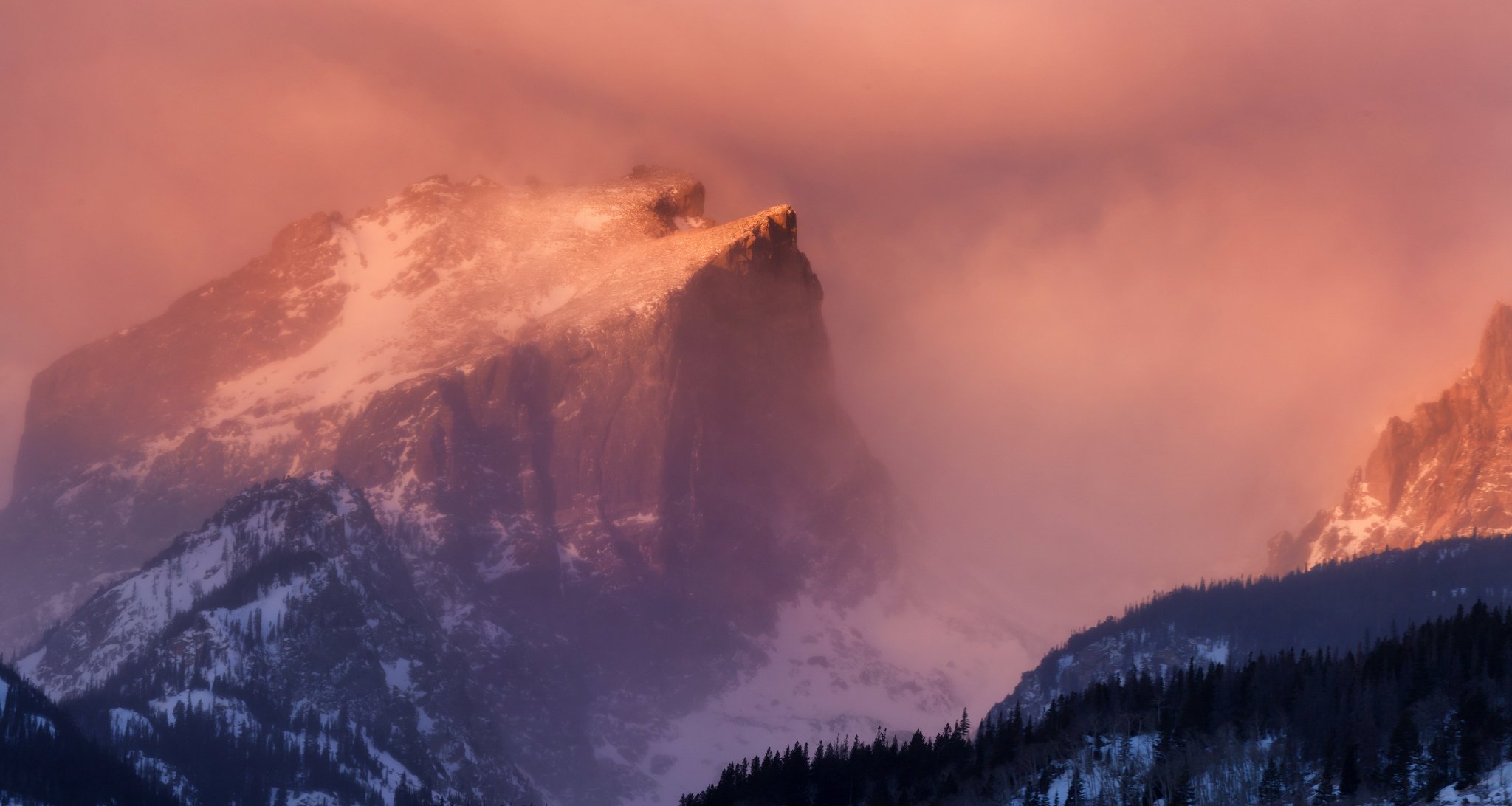 hallet peak rocky mountain national park mountain snow haze dawn forest