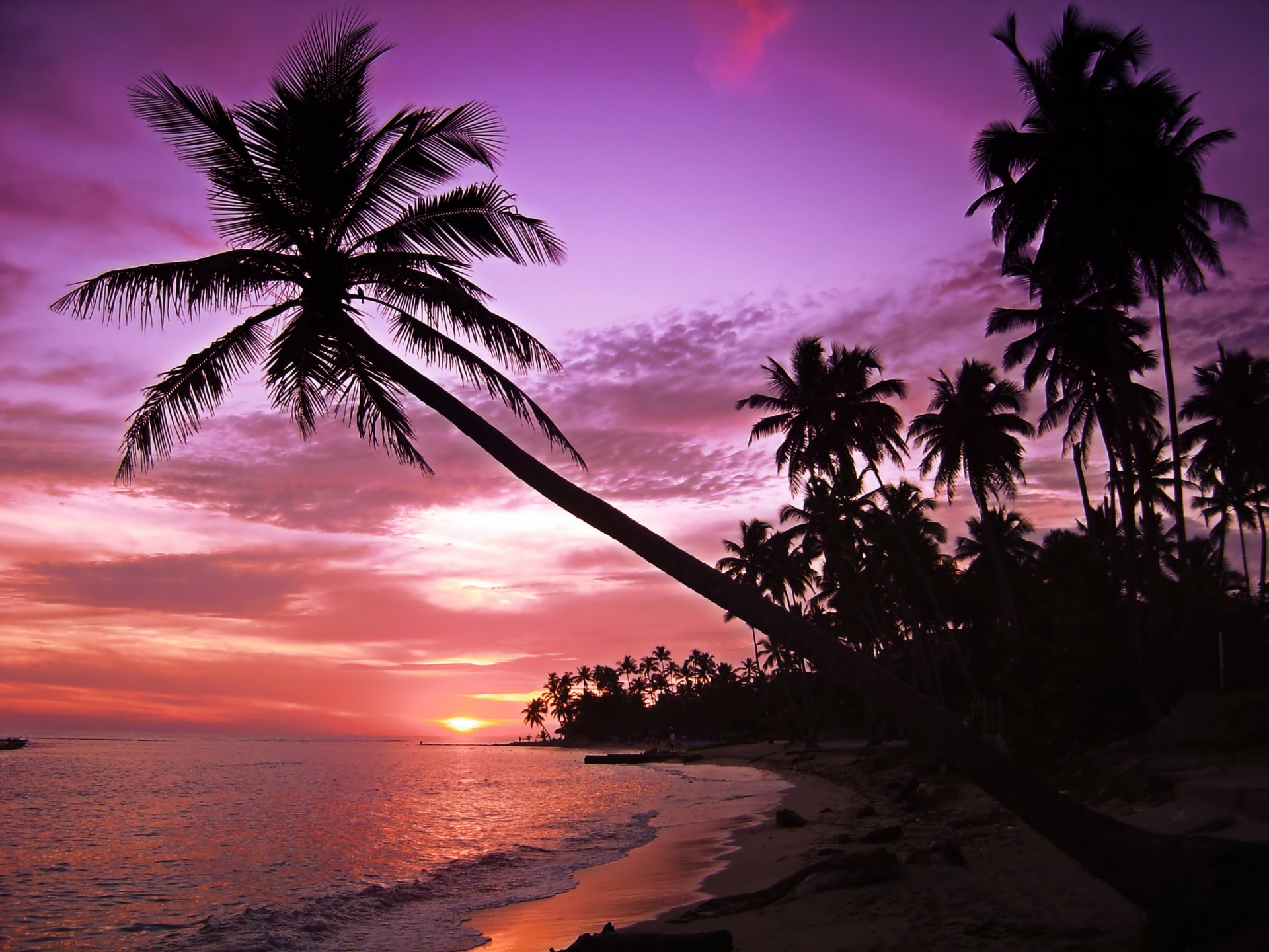 paysage île plage palmiers silhouettes mer vagues coucher de soleil ciel