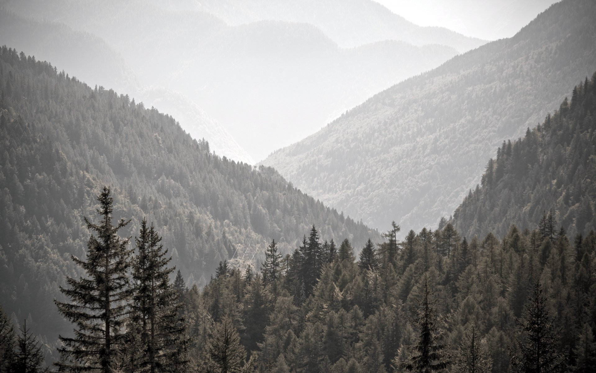 montagne alberi paesaggio