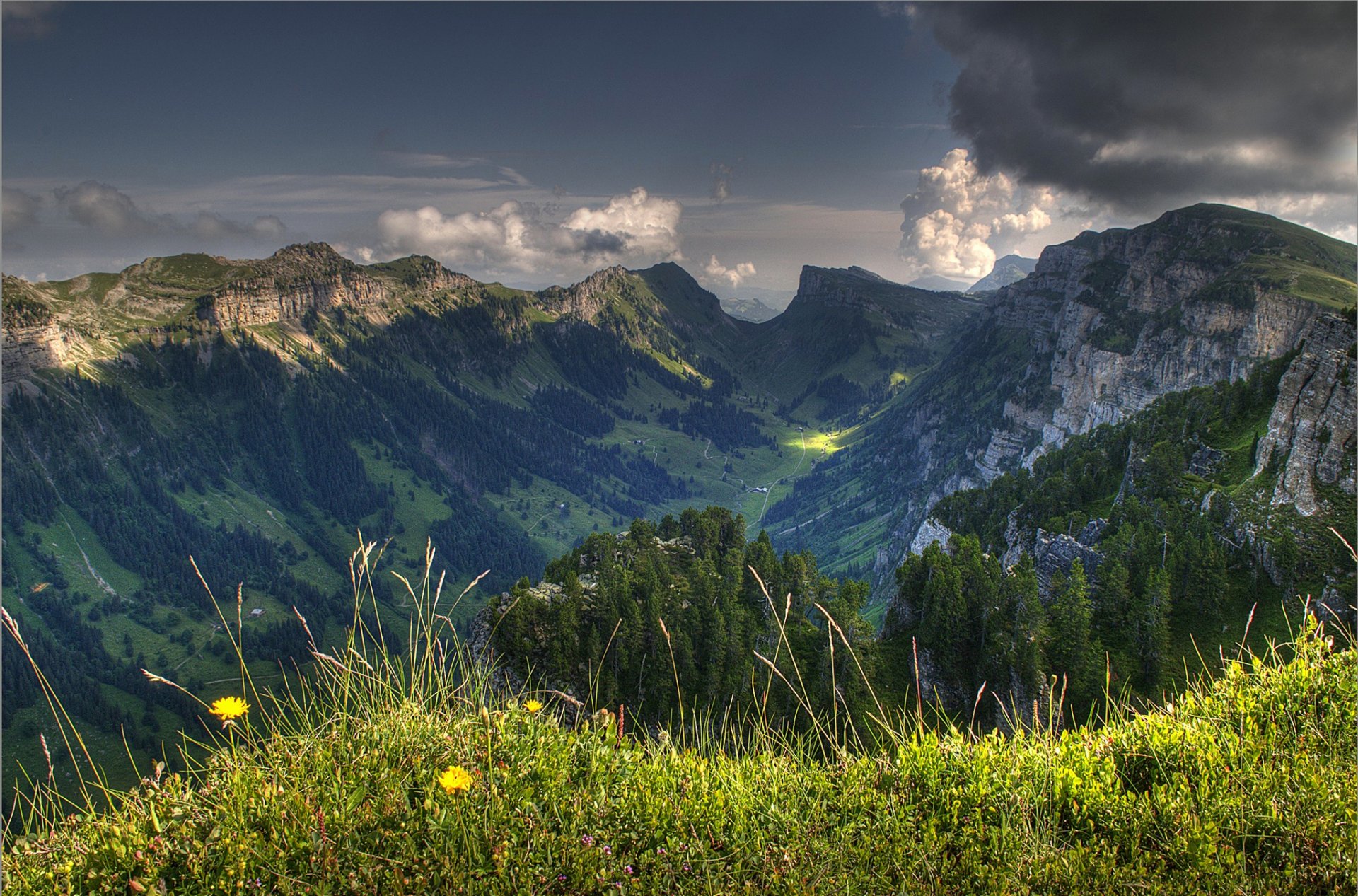 suiza cielo nubes nubes montañas valle hierba flores árboles naturaleza