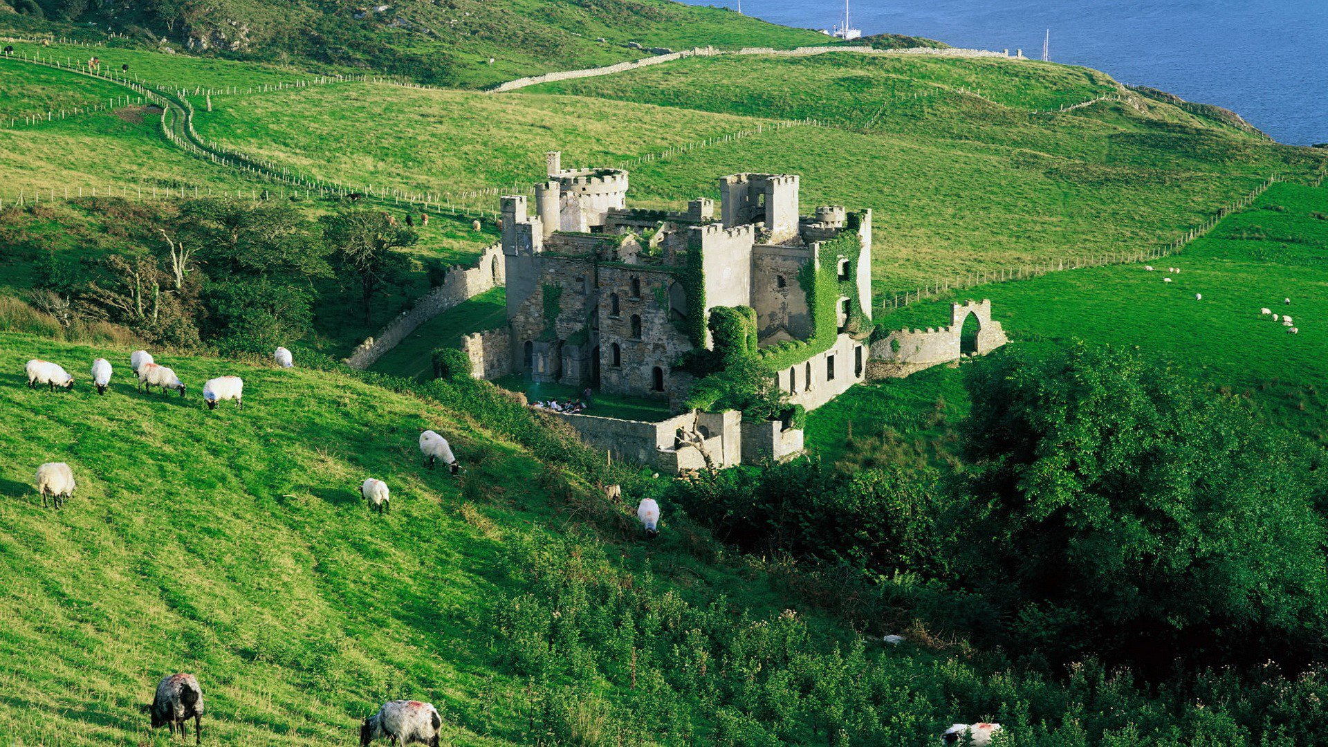 mer pente herbe moutons château ruines arbres