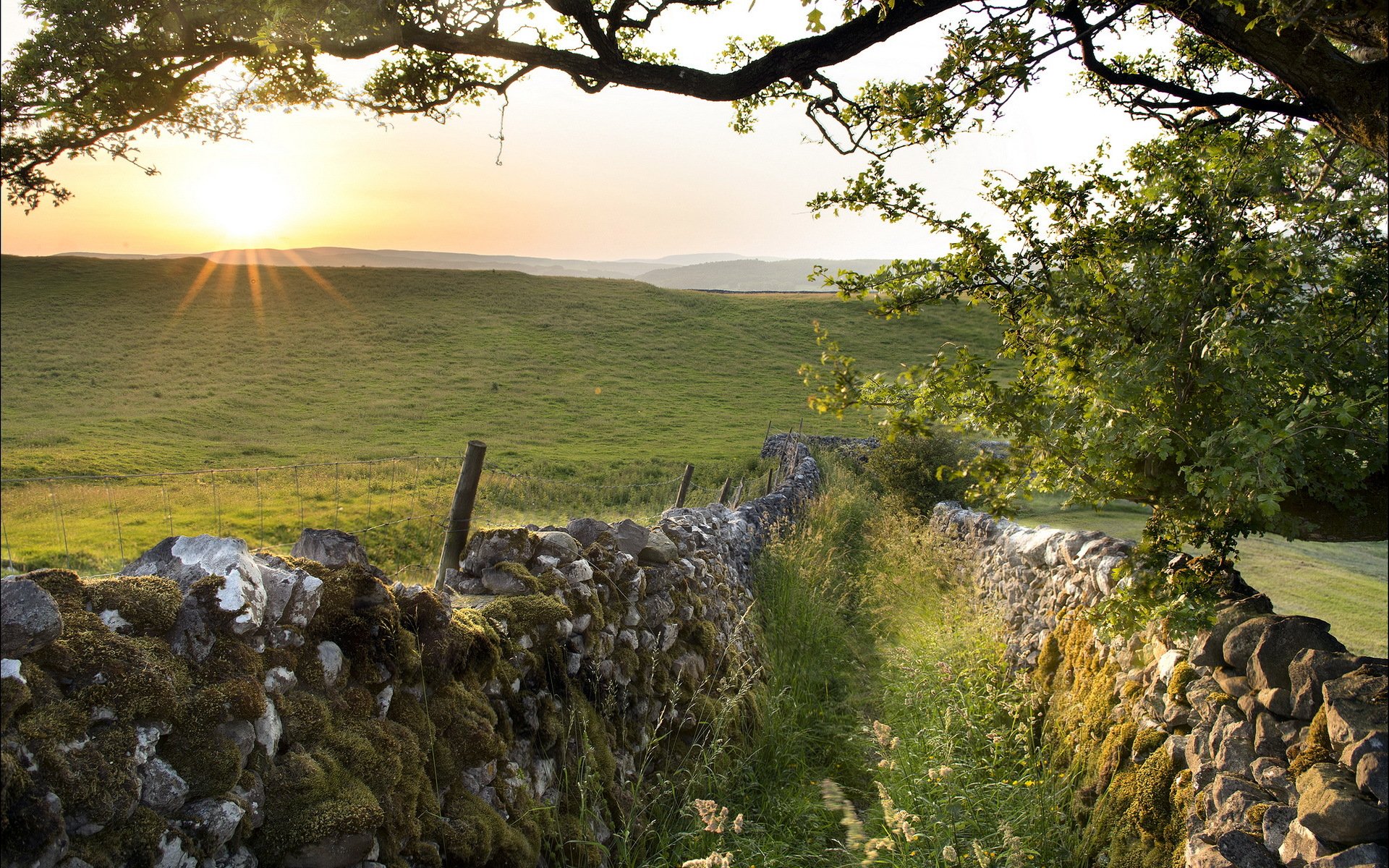 morning the field fence landscape