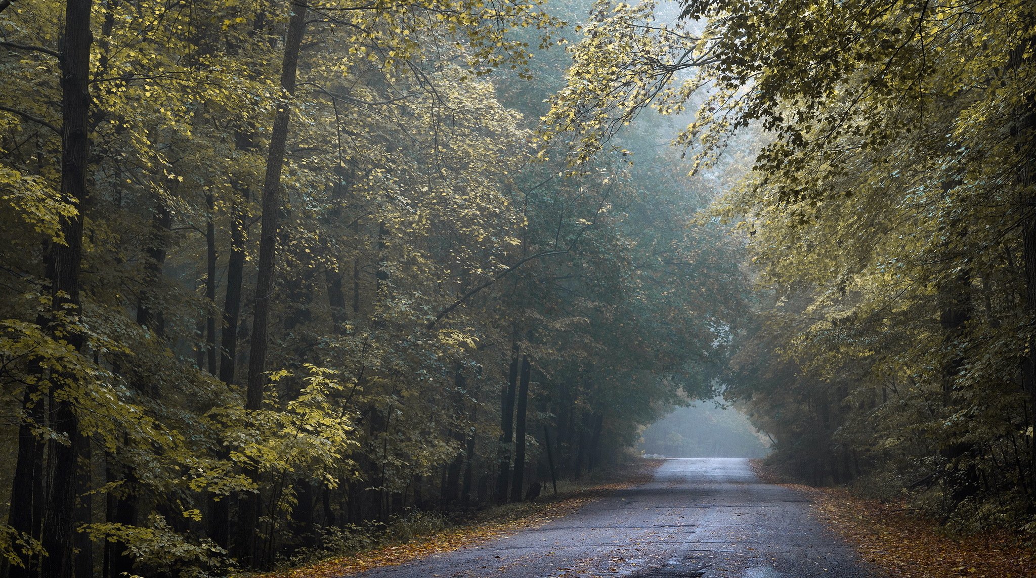 tunnel de l or automne route wisconsin