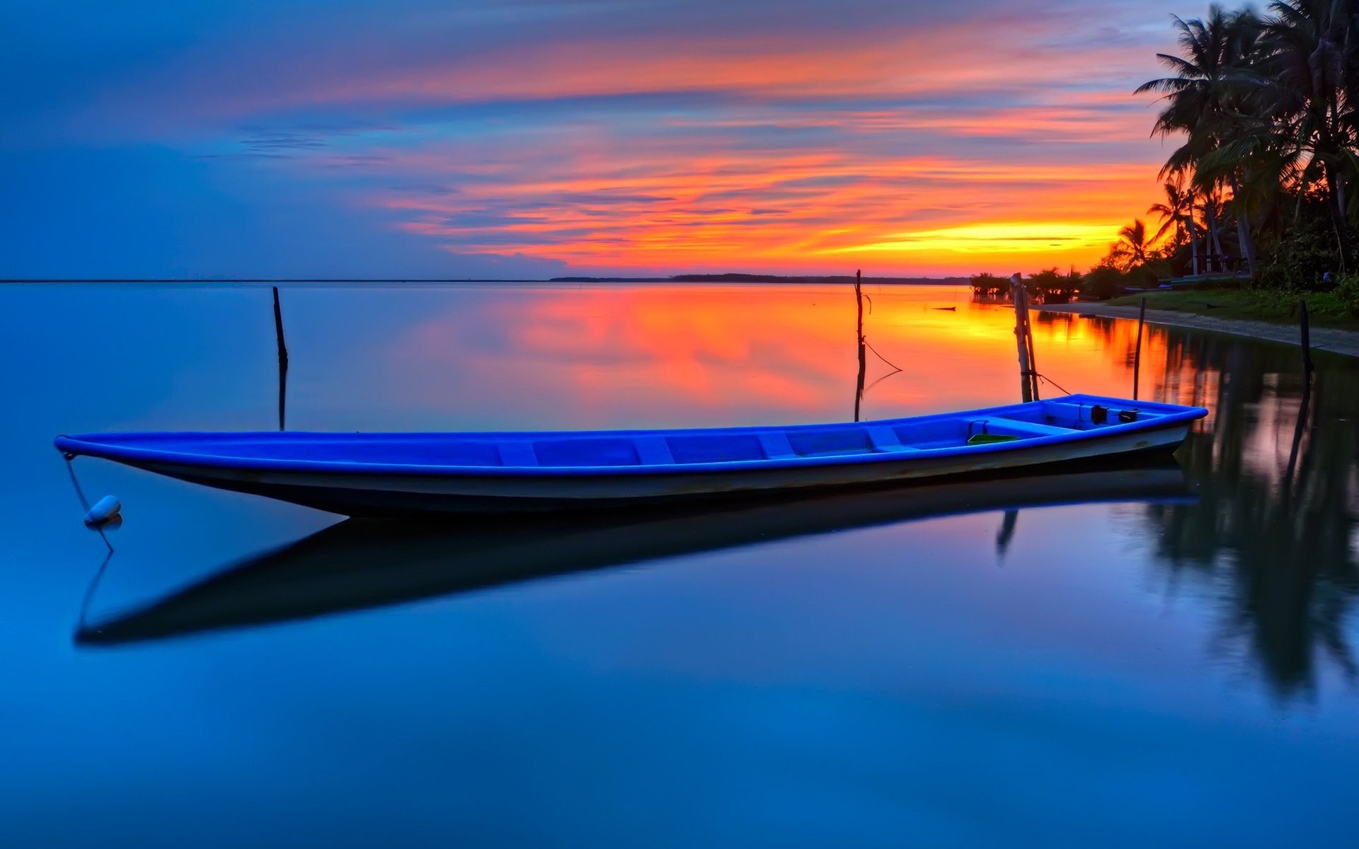 wasser oberfläche oberfläche reflexion boot ferne horizont dämmerung sonnenuntergang himmel wolken ufer palmen schönheit