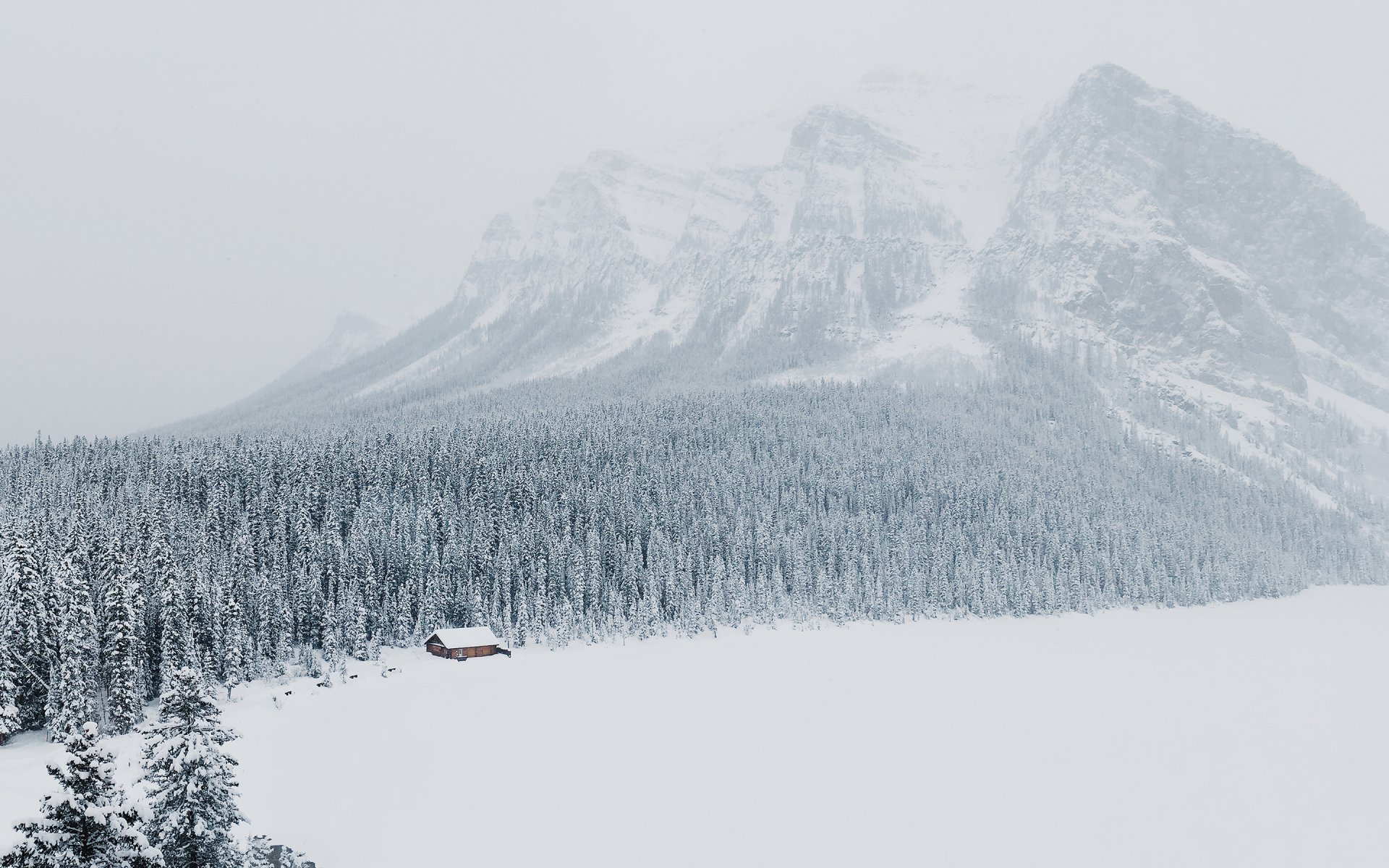 montagne neige hiver forêt lac louise alberta canada