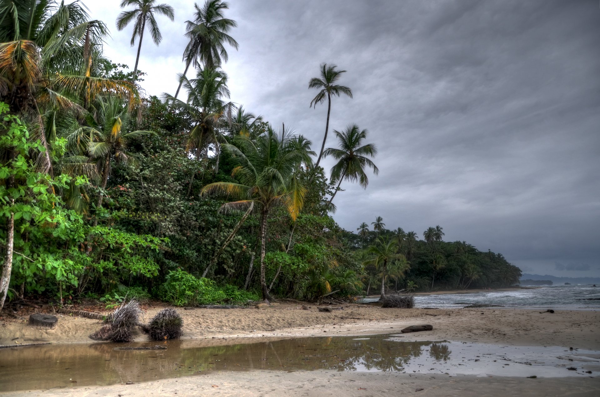 plage arbres palmiers nuages