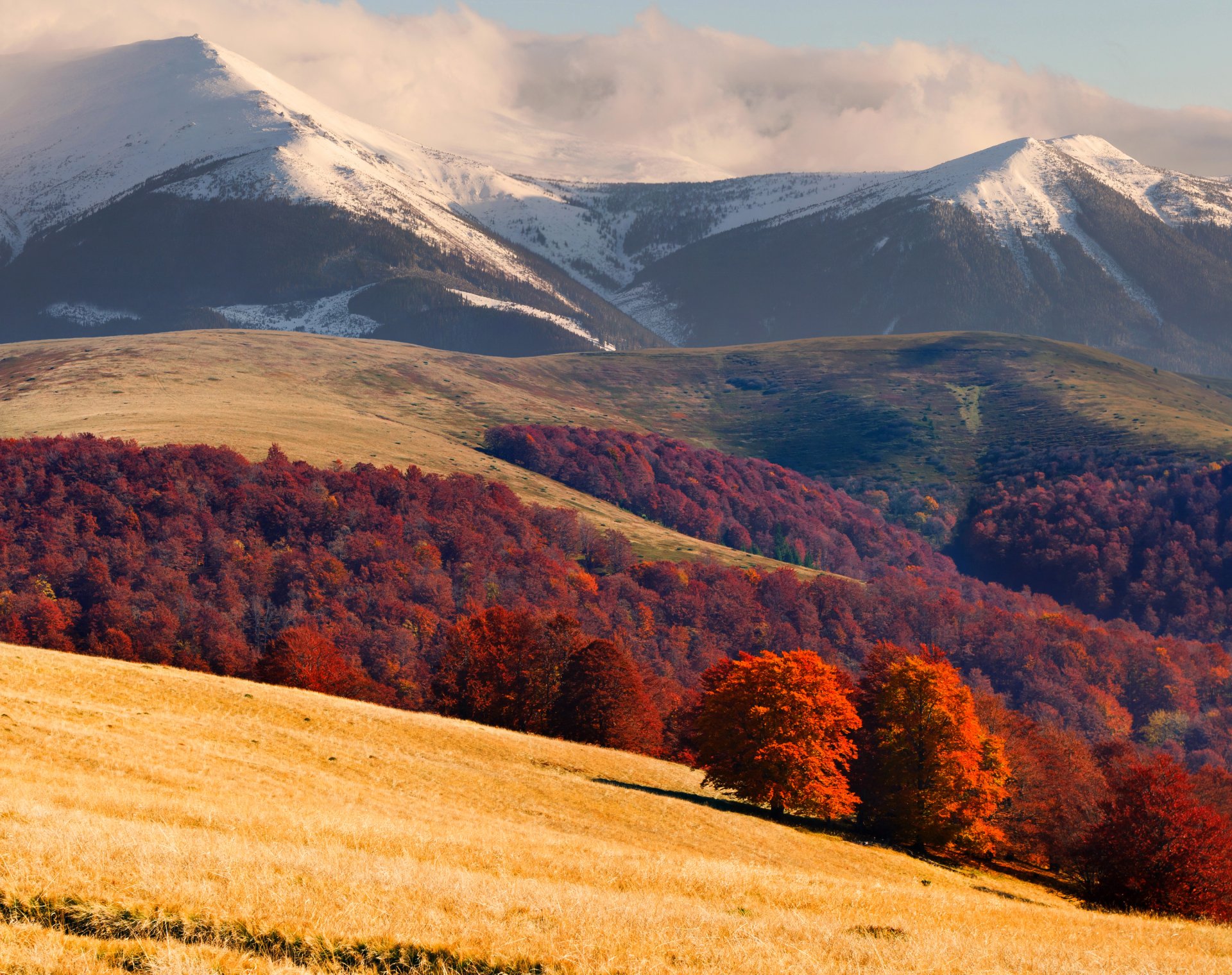 góry karpaty ukraina pola lasy