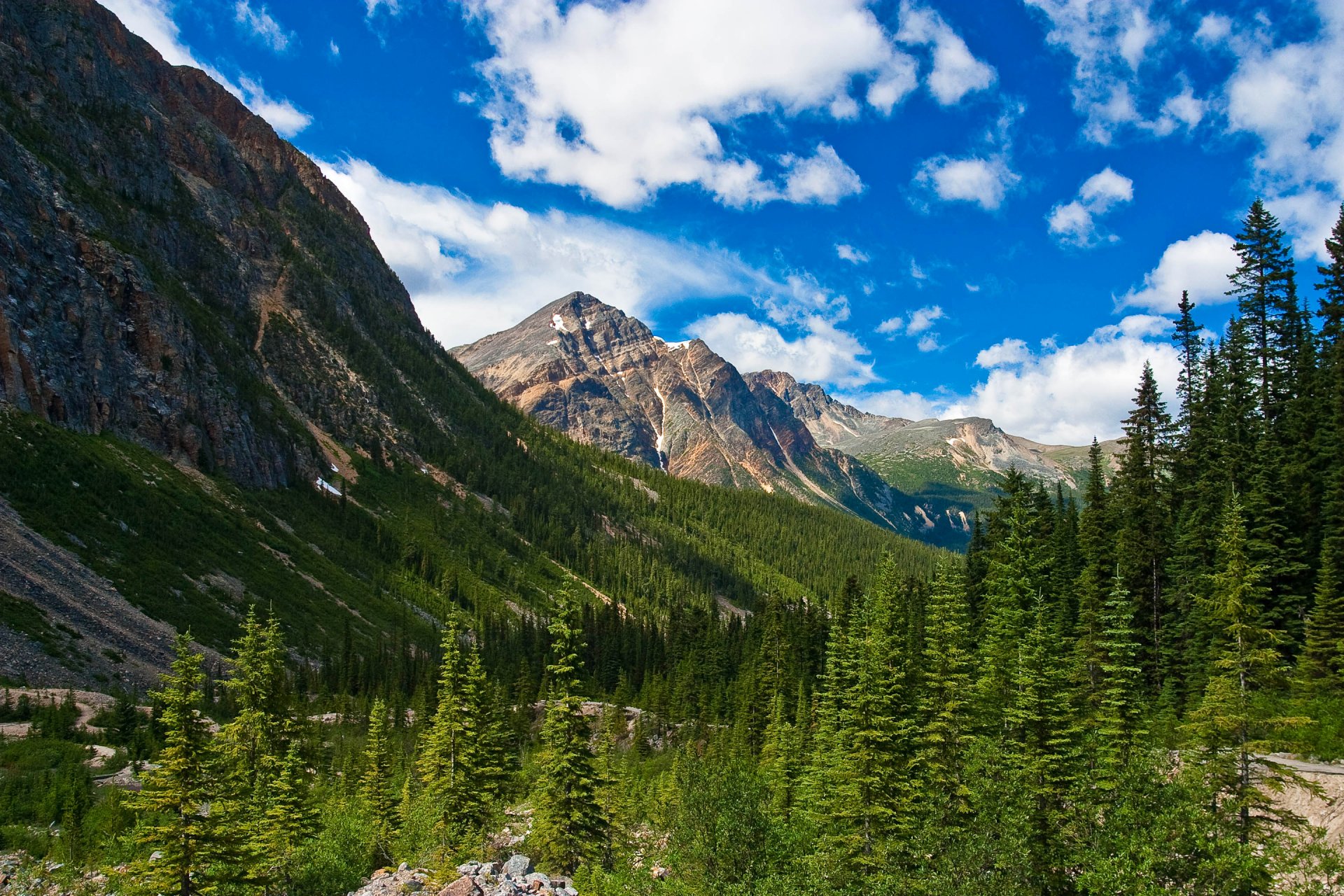 jasper national park alberta kanada berge schnee wald bäume himmel wolken