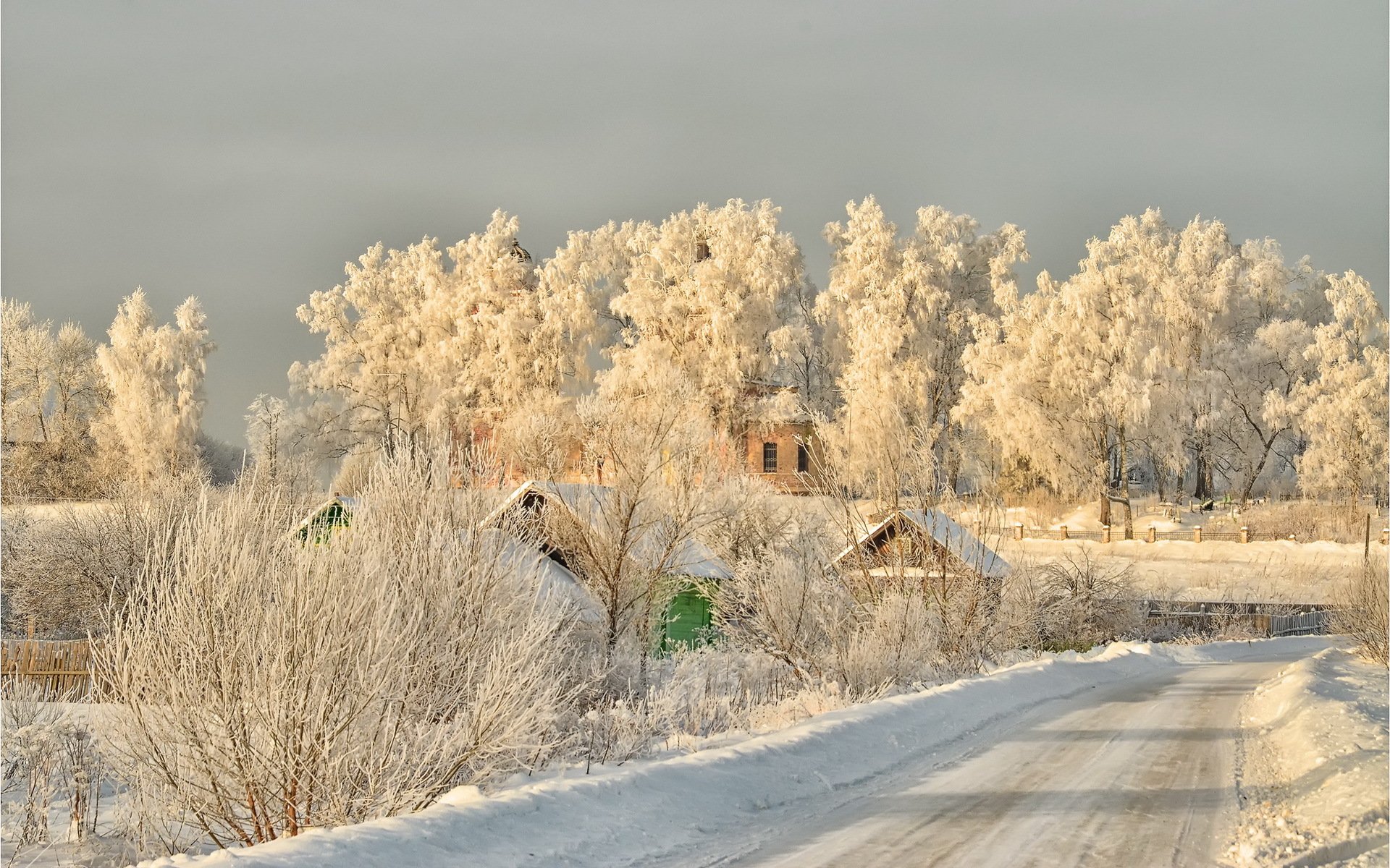 winter frost beauty frost tver region