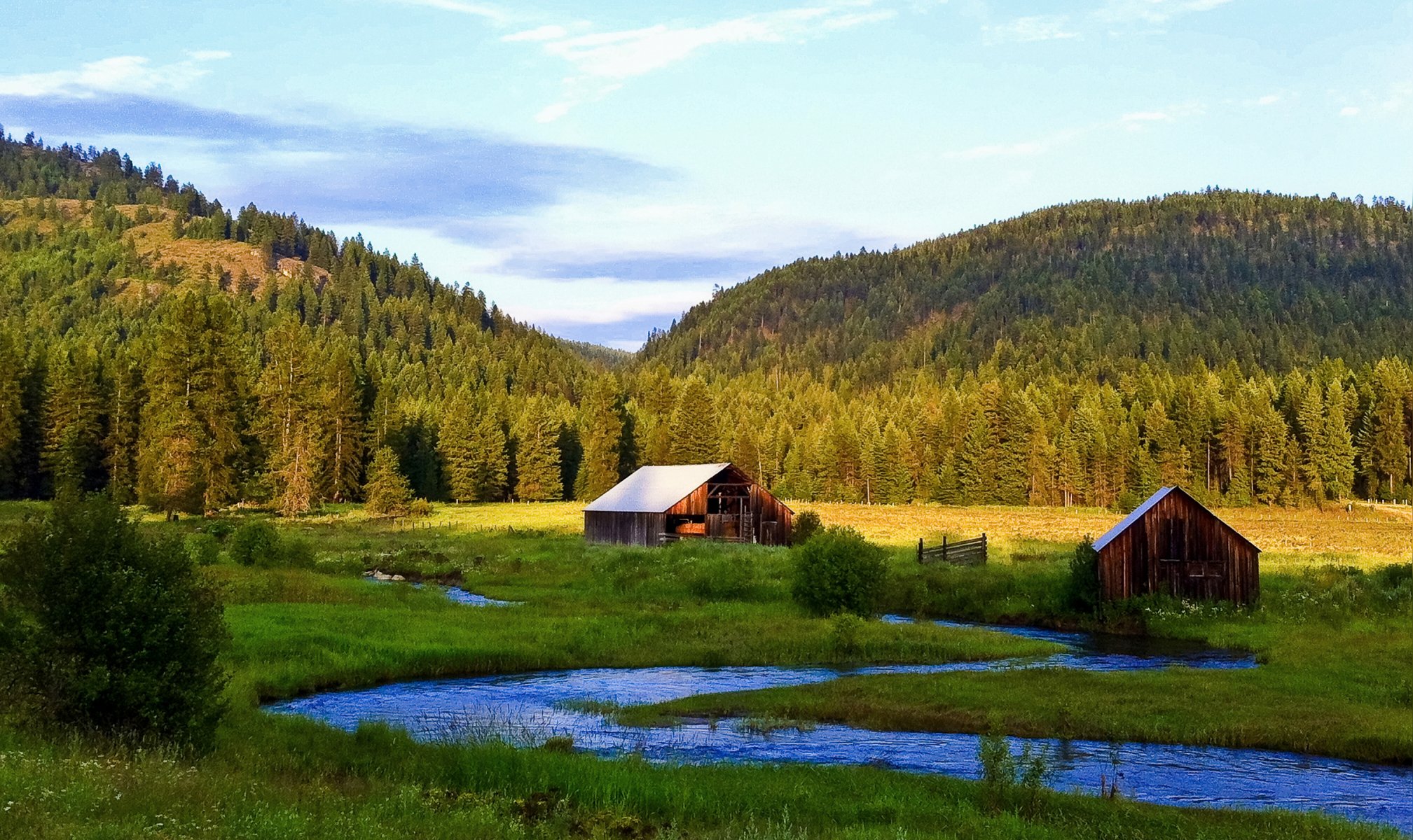 ky mountains forest valley house house river stream grass tree