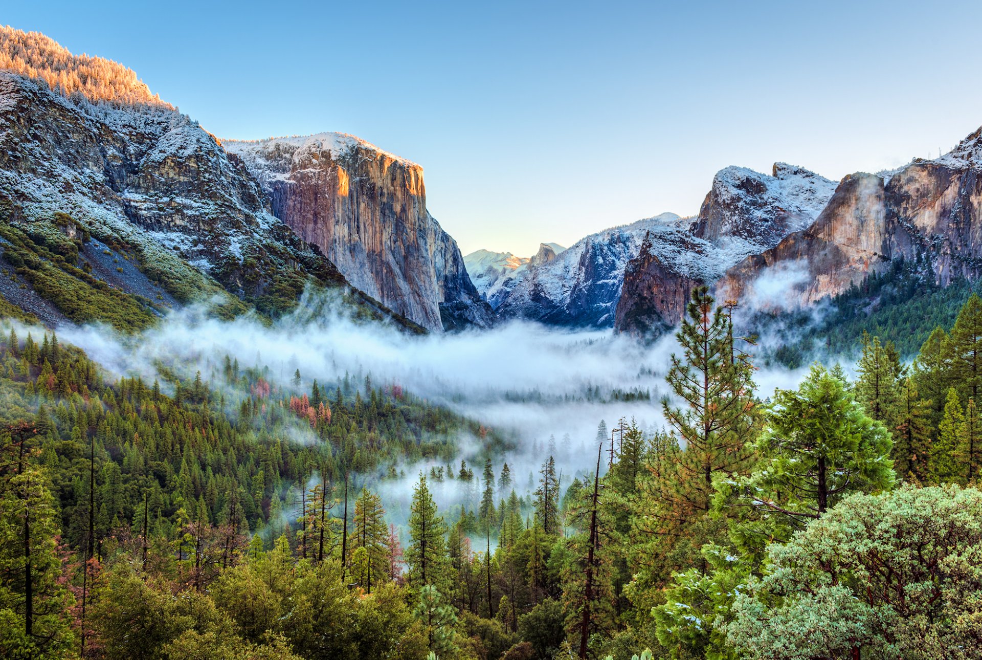 stati uniti parco nazionale di yosemite california montagne rocce neve gola foresta alberi nebbia bellezza