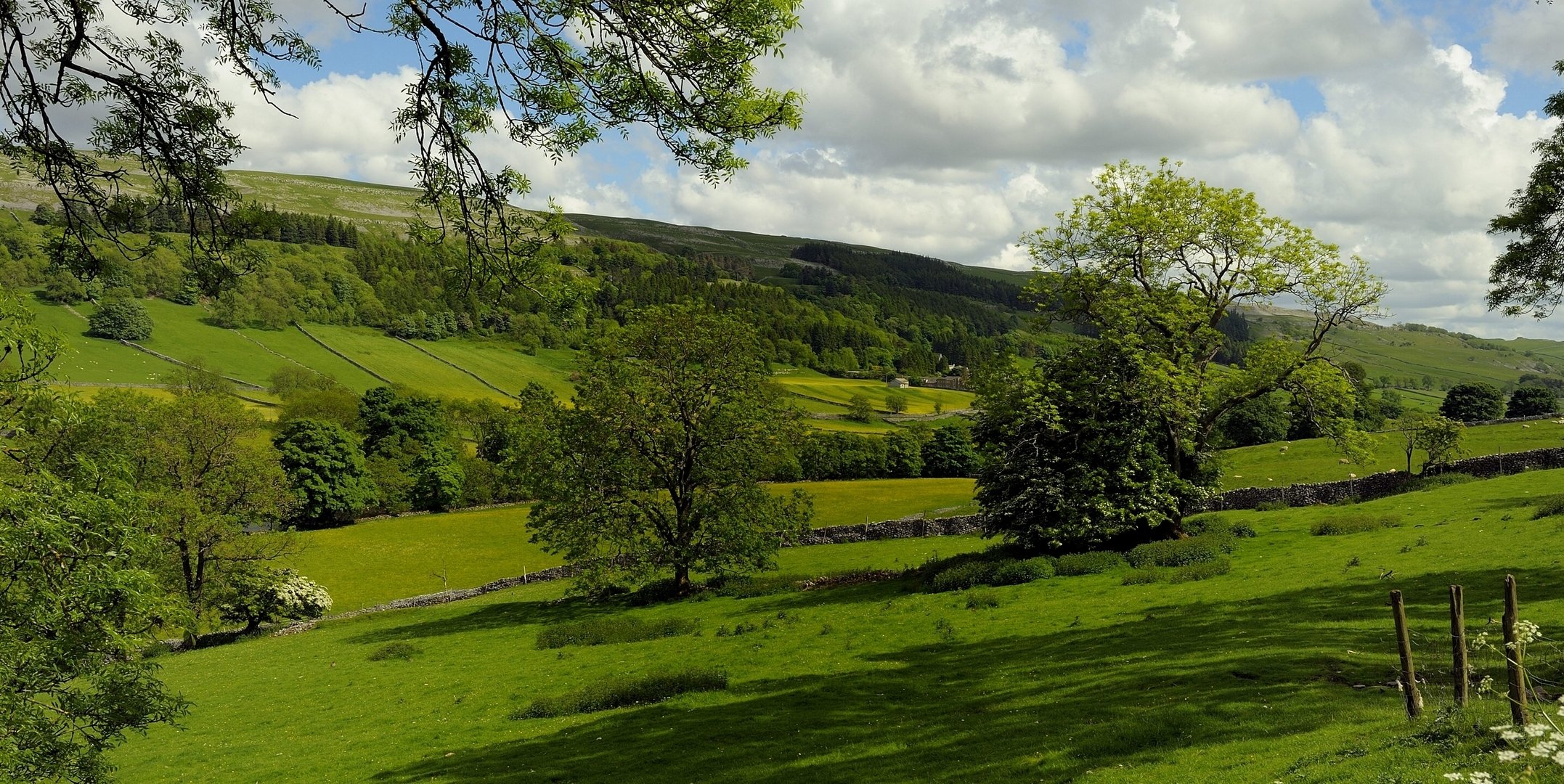 kettlewell inglaterra pastizales árboles campos