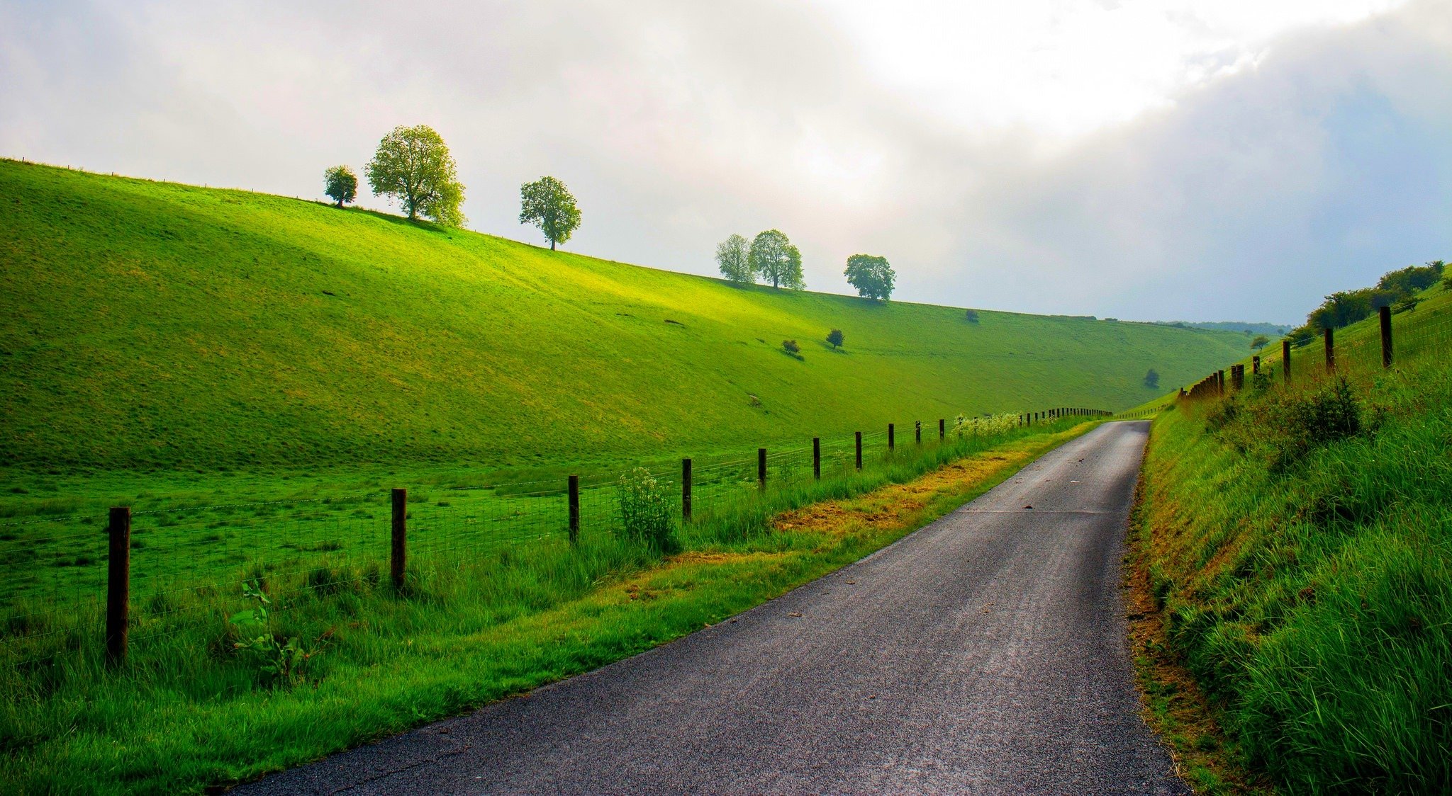 nature landscape grass meadow spring mountain sky forest trees road path tree