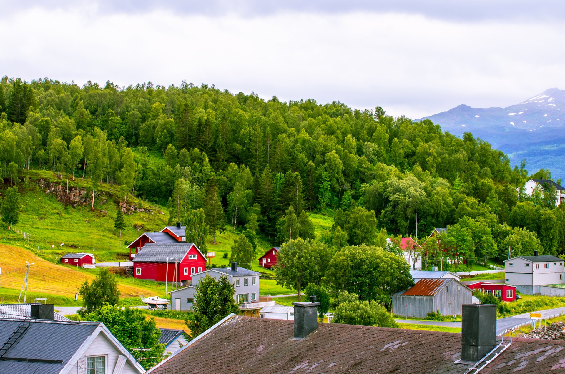 norwegia góry domy dach niebo chmury drzewa trawa stok