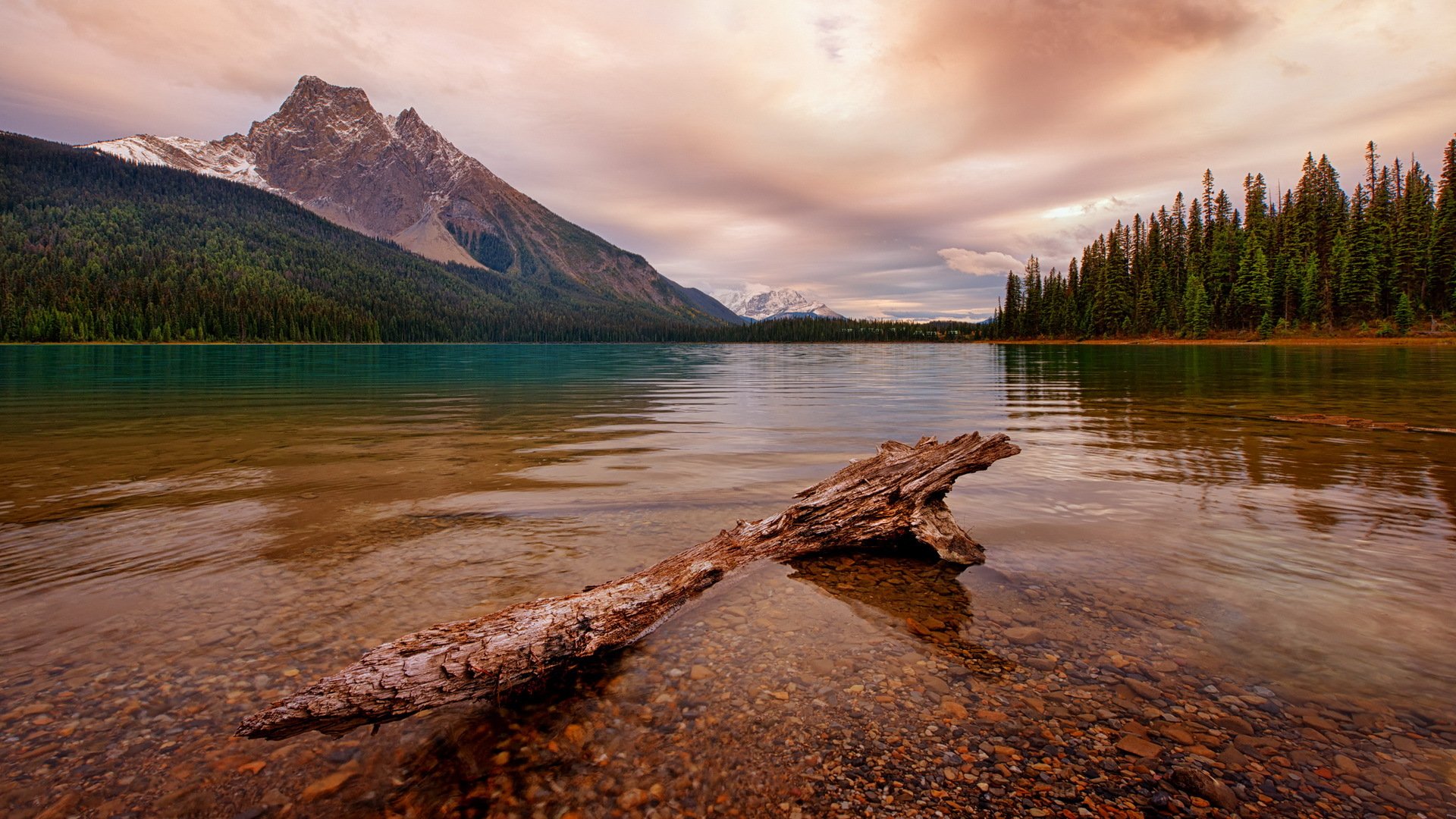 emerald lake canadian rockies park narodowy yoho