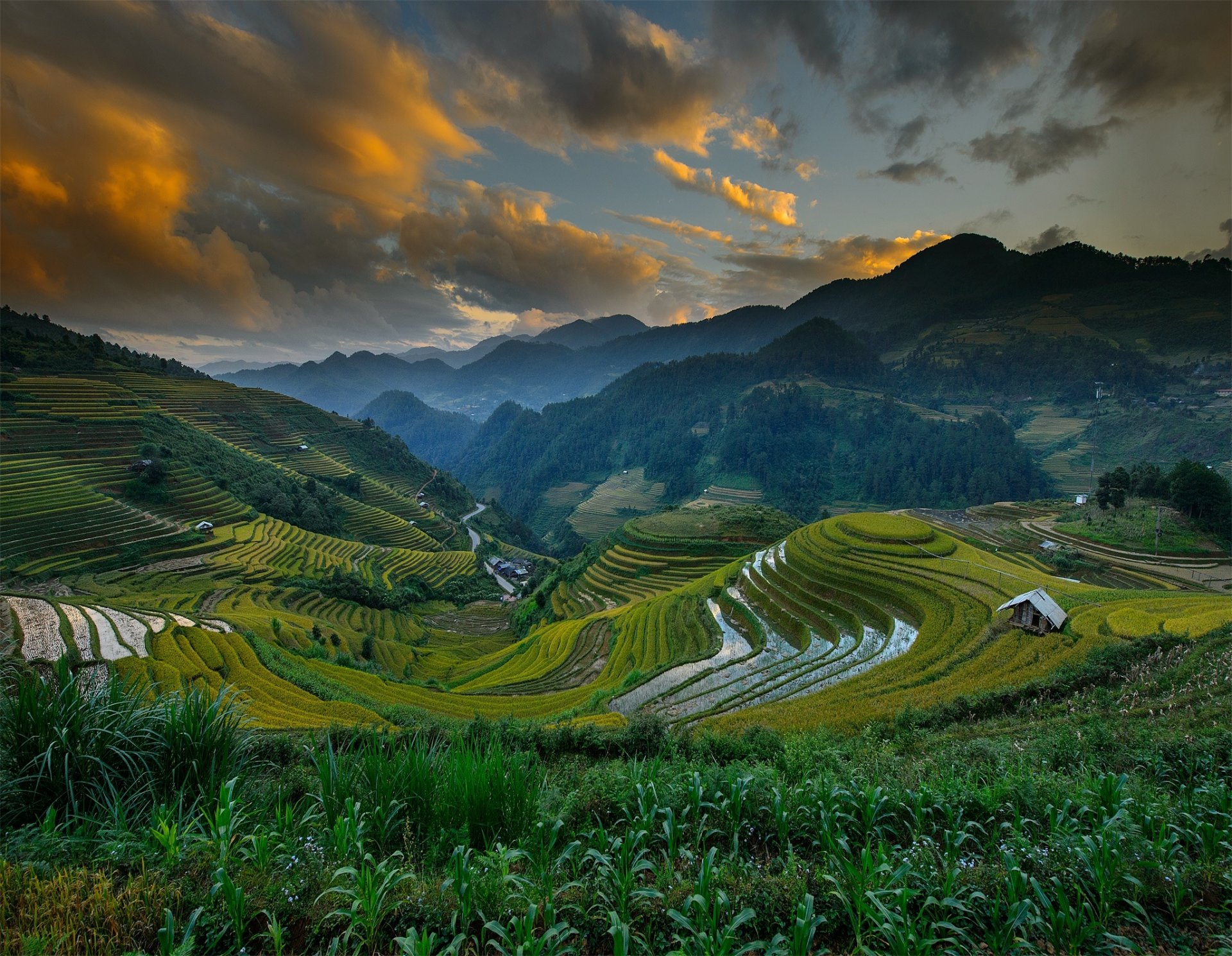 vietnam distretto di mù cang chii montagne colline campi cielo nuvole