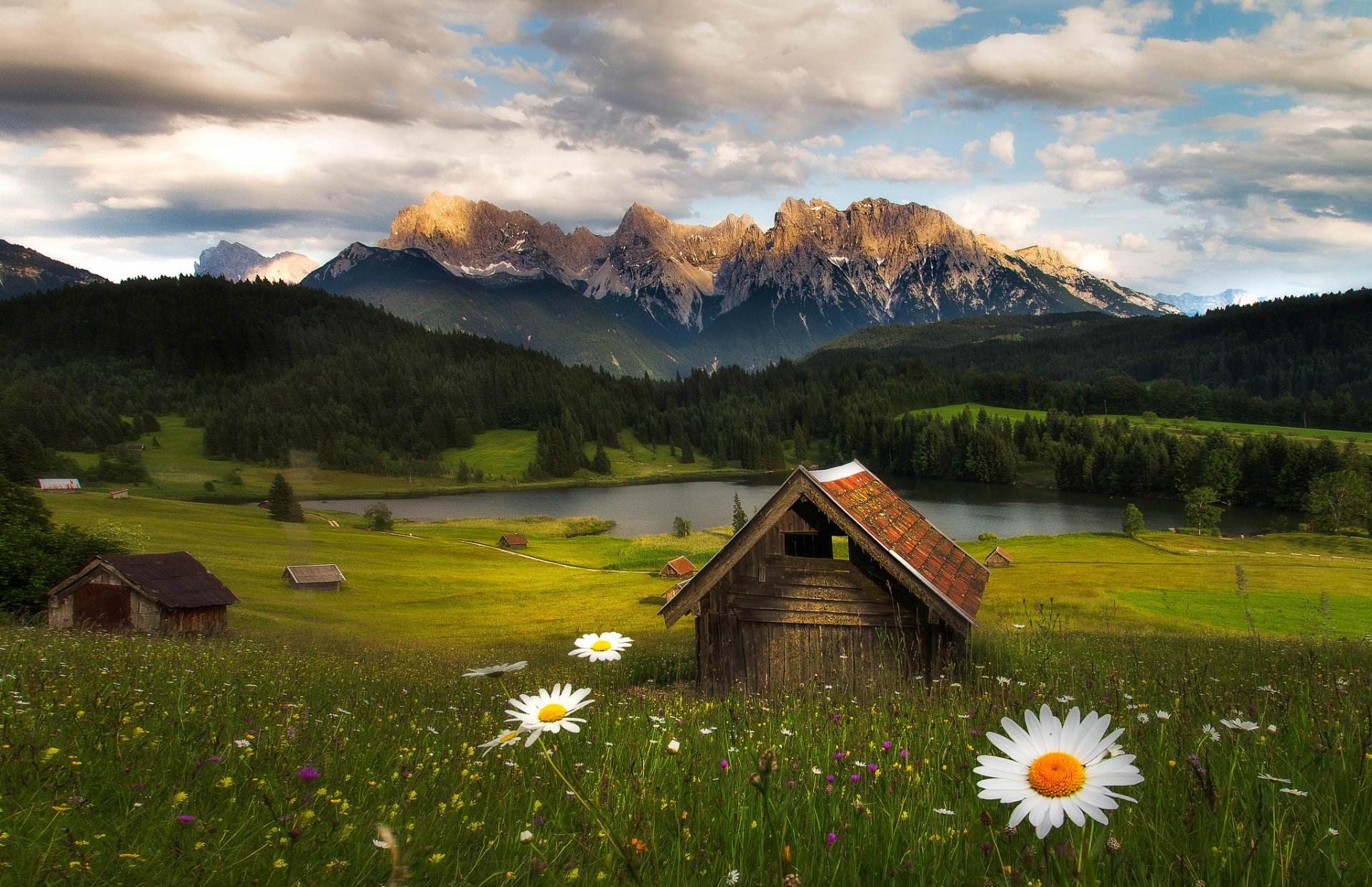 montagnes forêt nature cabane fleurs fabian vogl