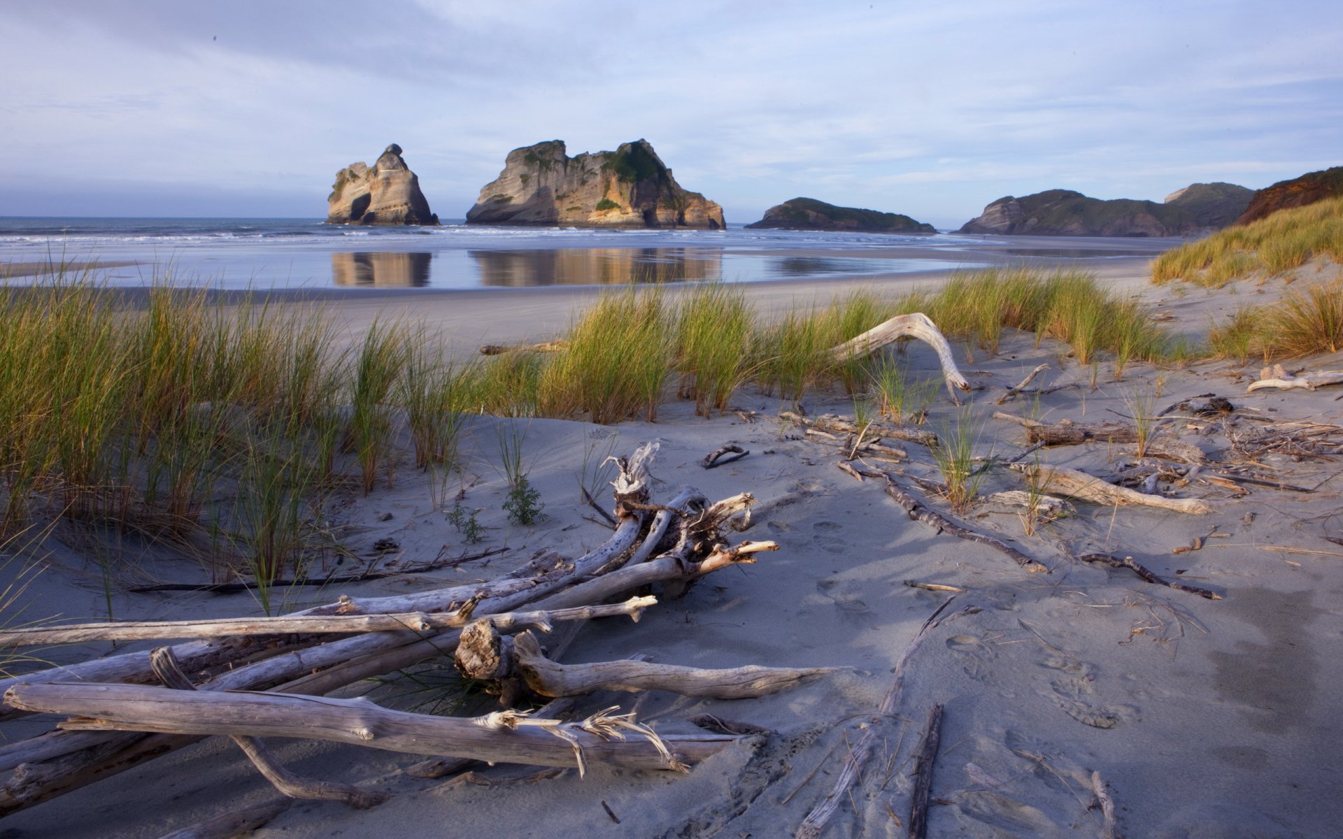 nueva zelanda playa nelson wharariki