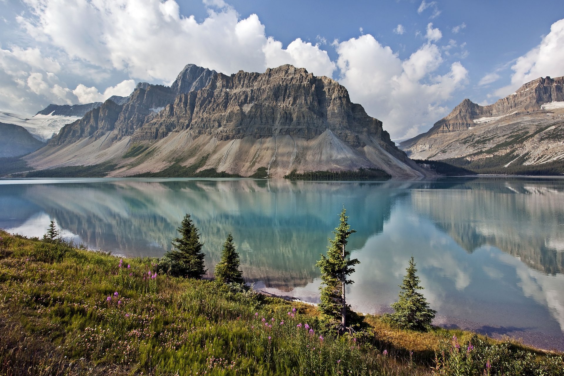 bow canada montagne lago natura cielo nuvole alberi erba fiori